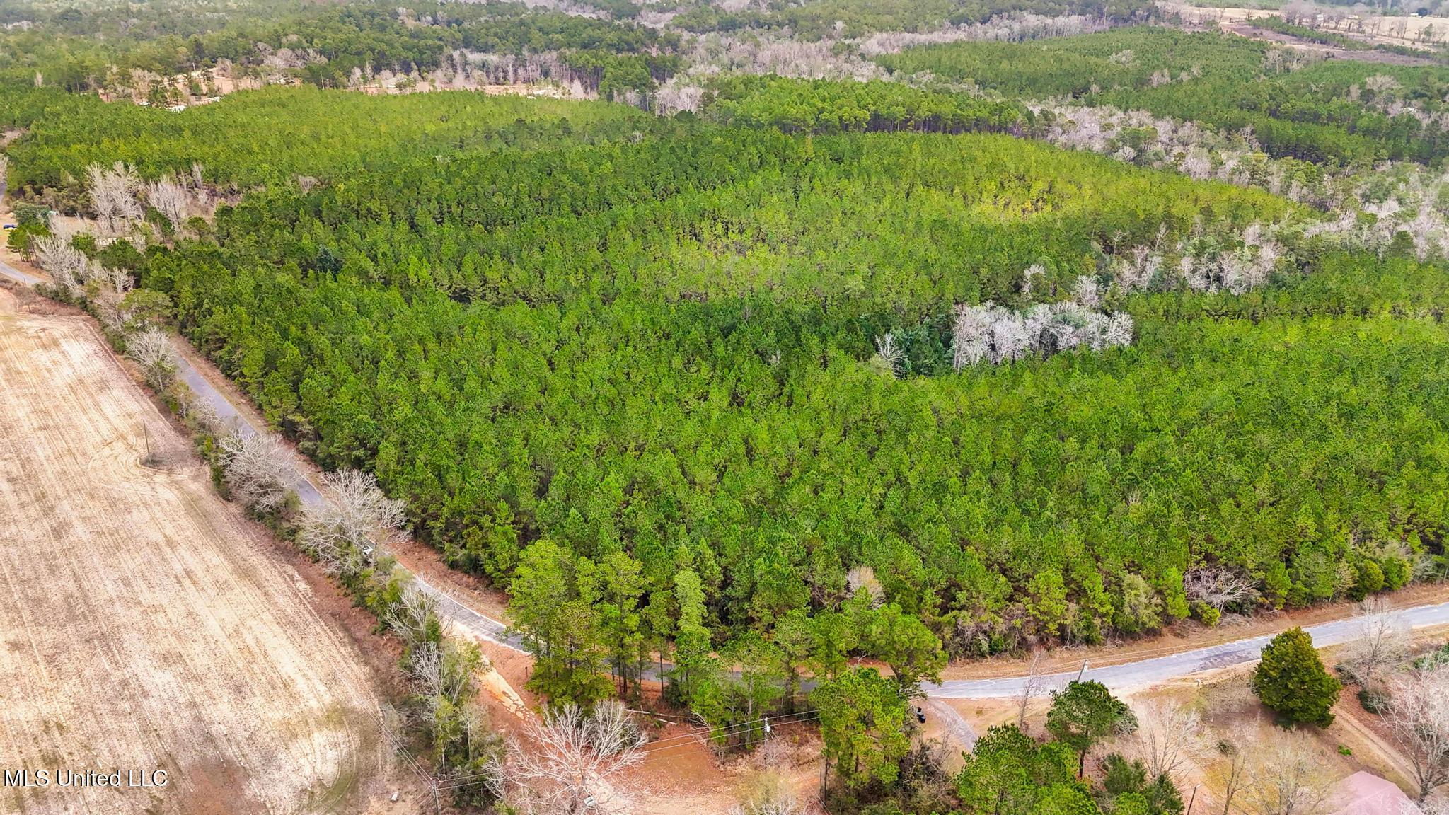 89ac Old Hwy 63n & Fork Rd Property Photo 7