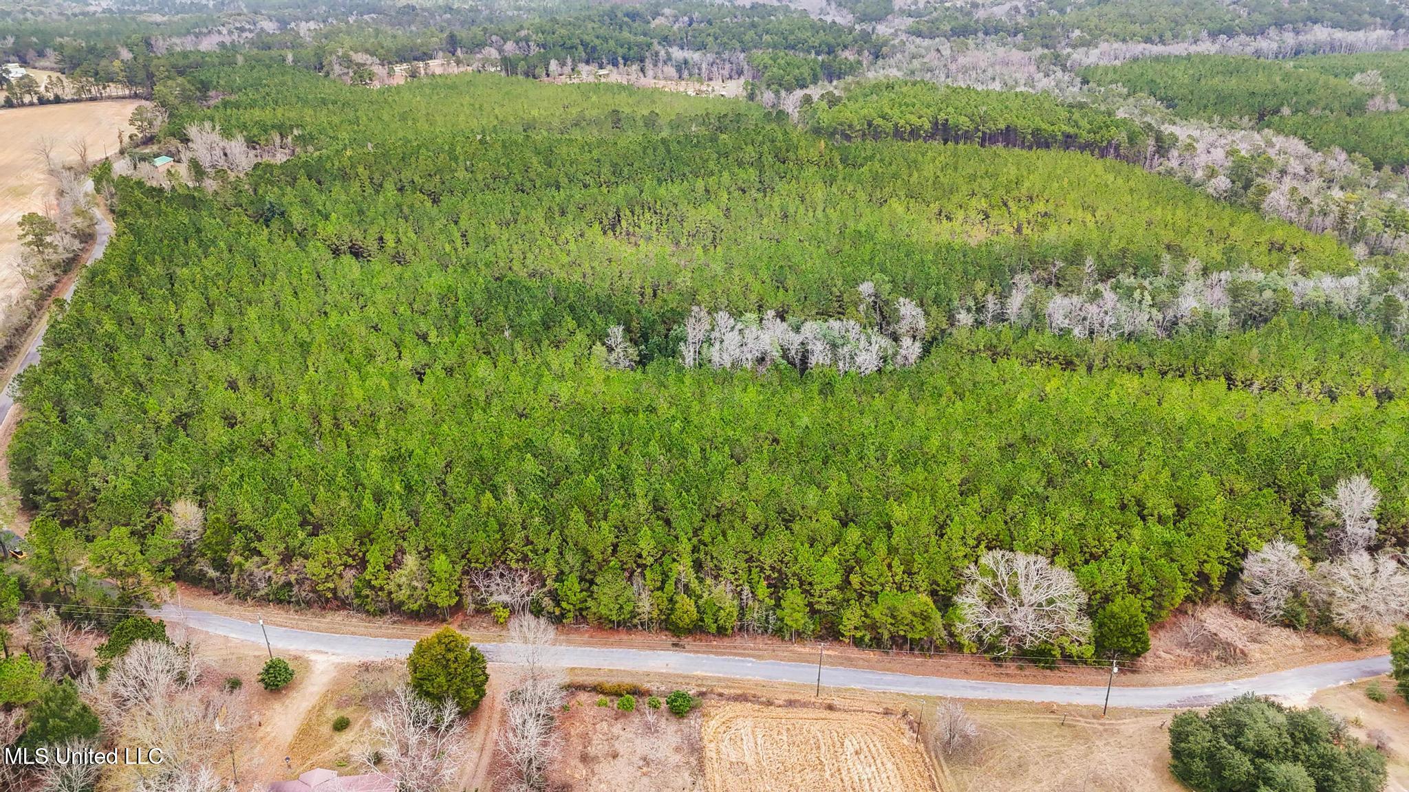 89ac Old Hwy 63n & Fork Rd Property Photo 8