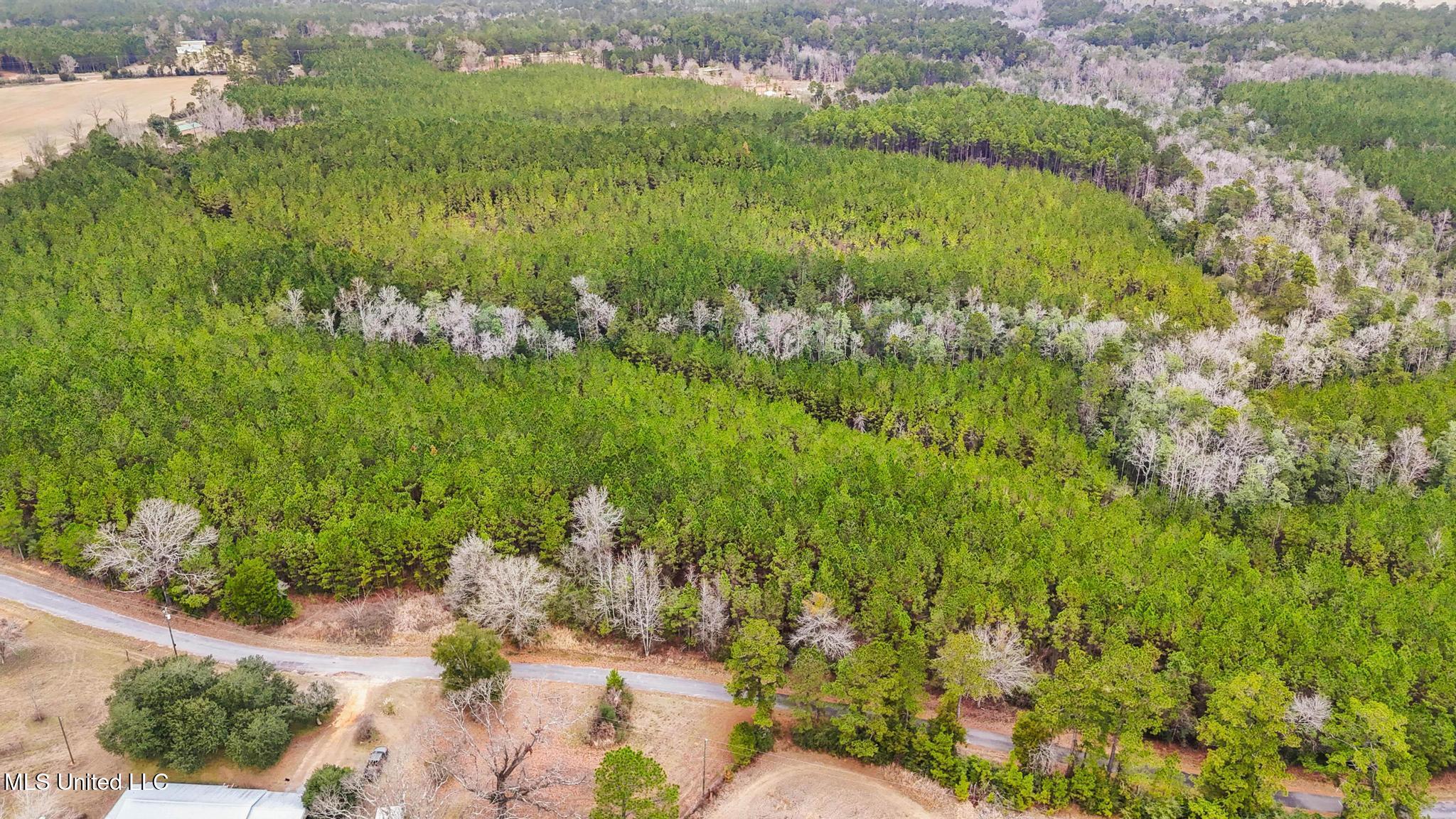 89ac Old Hwy 63n & Fork Rd Property Photo 9