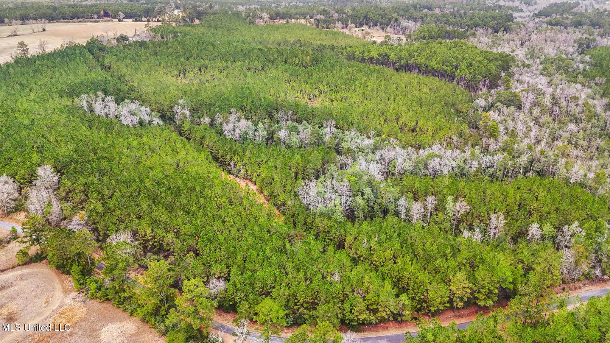 89ac Old Hwy 63n & Fork Rd Property Photo 10
