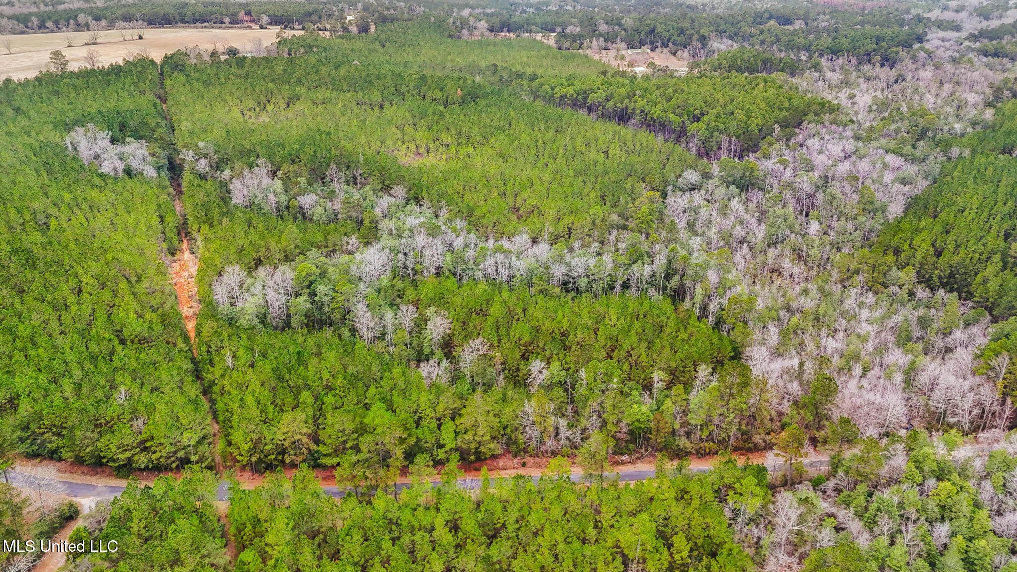 89ac Old Hwy 63n & Fork Rd Property Photo 11