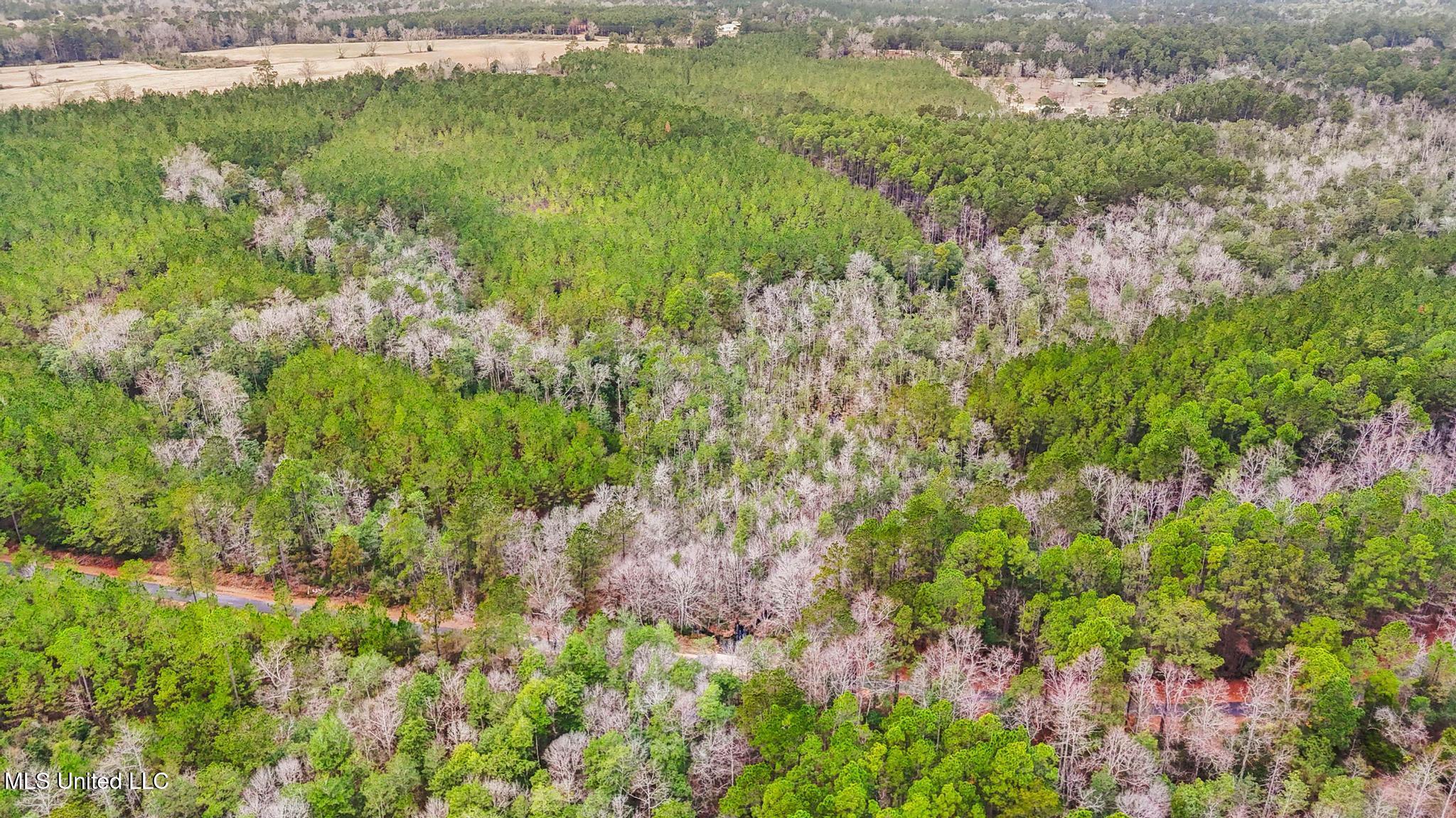 89ac Old Hwy 63n & Fork Rd Property Photo 12