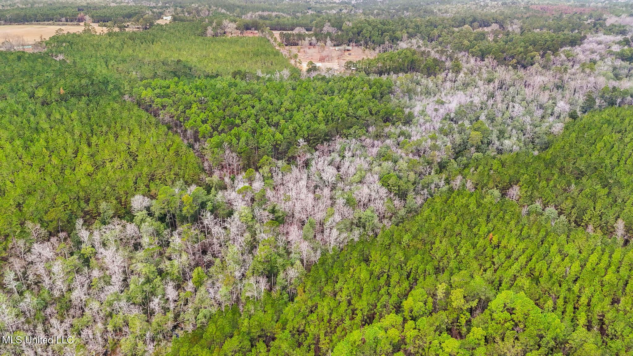 89ac Old Hwy 63n & Fork Rd Property Photo 13