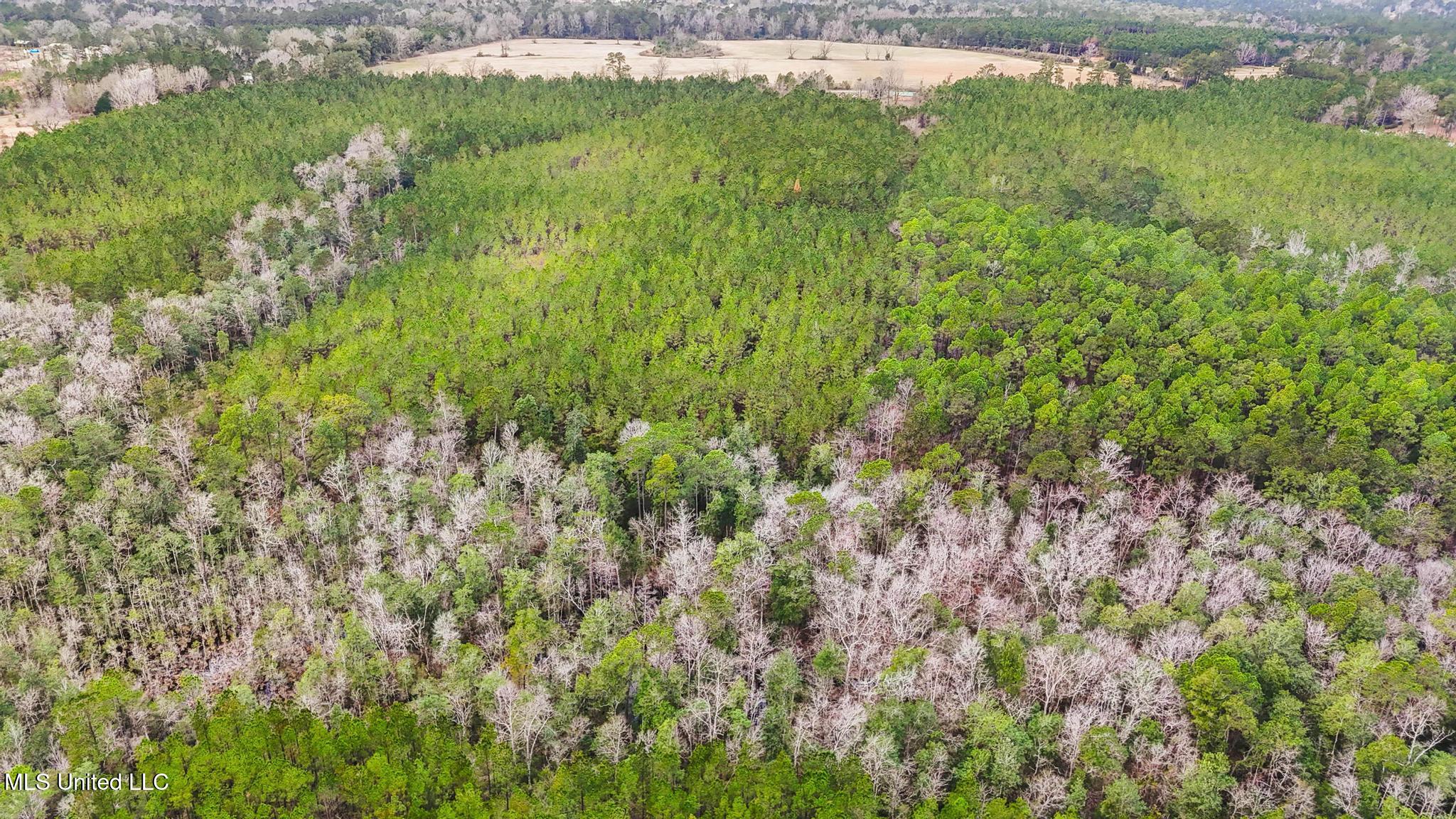 89ac Old Hwy 63n & Fork Rd Property Photo 14