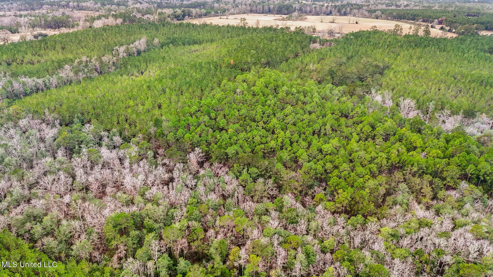 89ac Old Hwy 63n & Fork Rd Property Photo 15