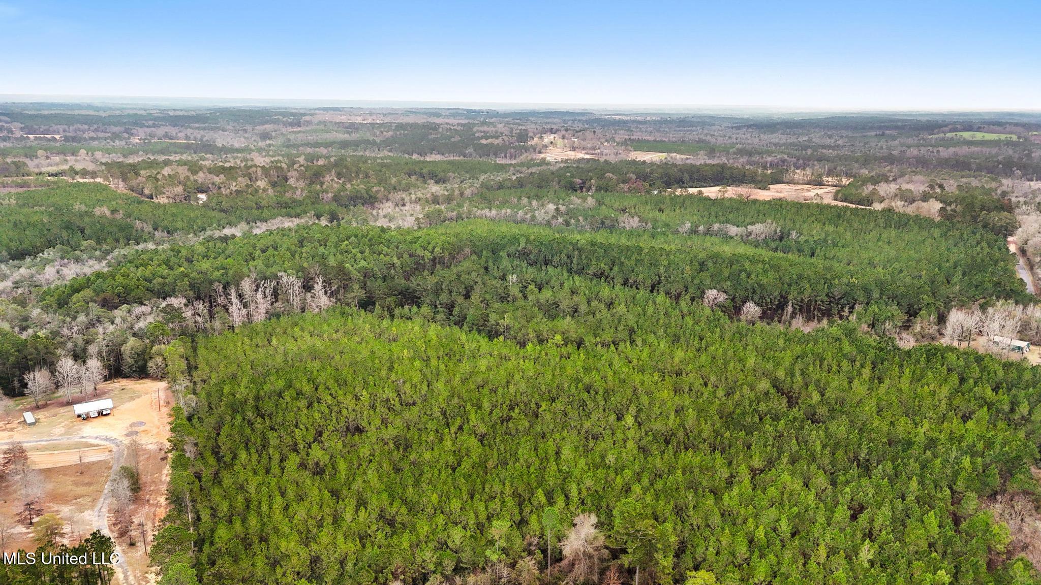 89ac Old Hwy 63n & Fork Rd Property Photo 16