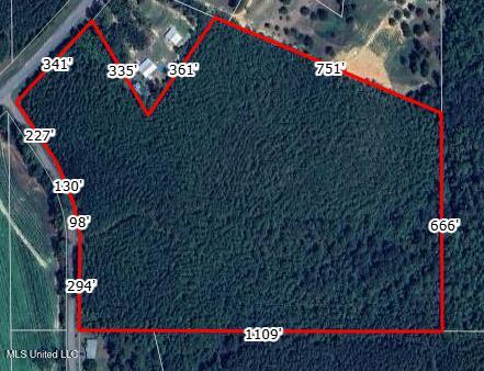 89ac Old Hwy 63n & Fork Rd Property Photo 17