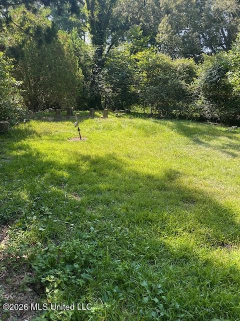 407 Cherry Street Property Photo 1