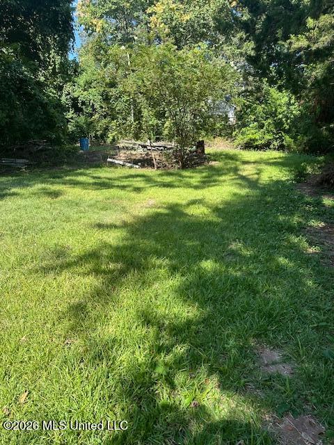 407 Cherry Street Property Photo 2