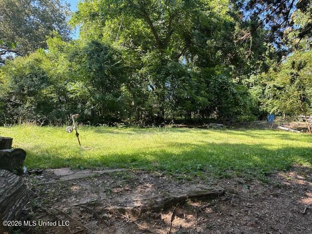 407 Cherry Street Property Photo 4