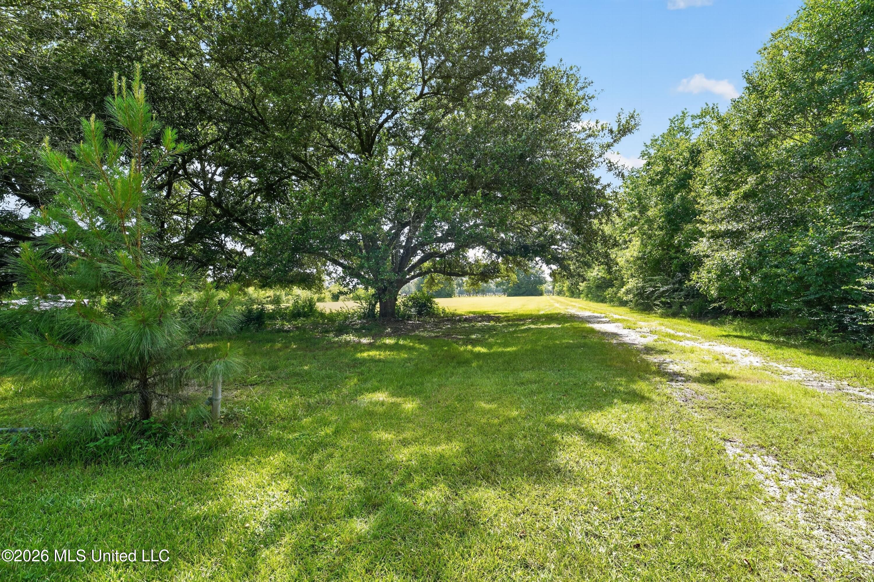 168 Davis Road Property Photo 7