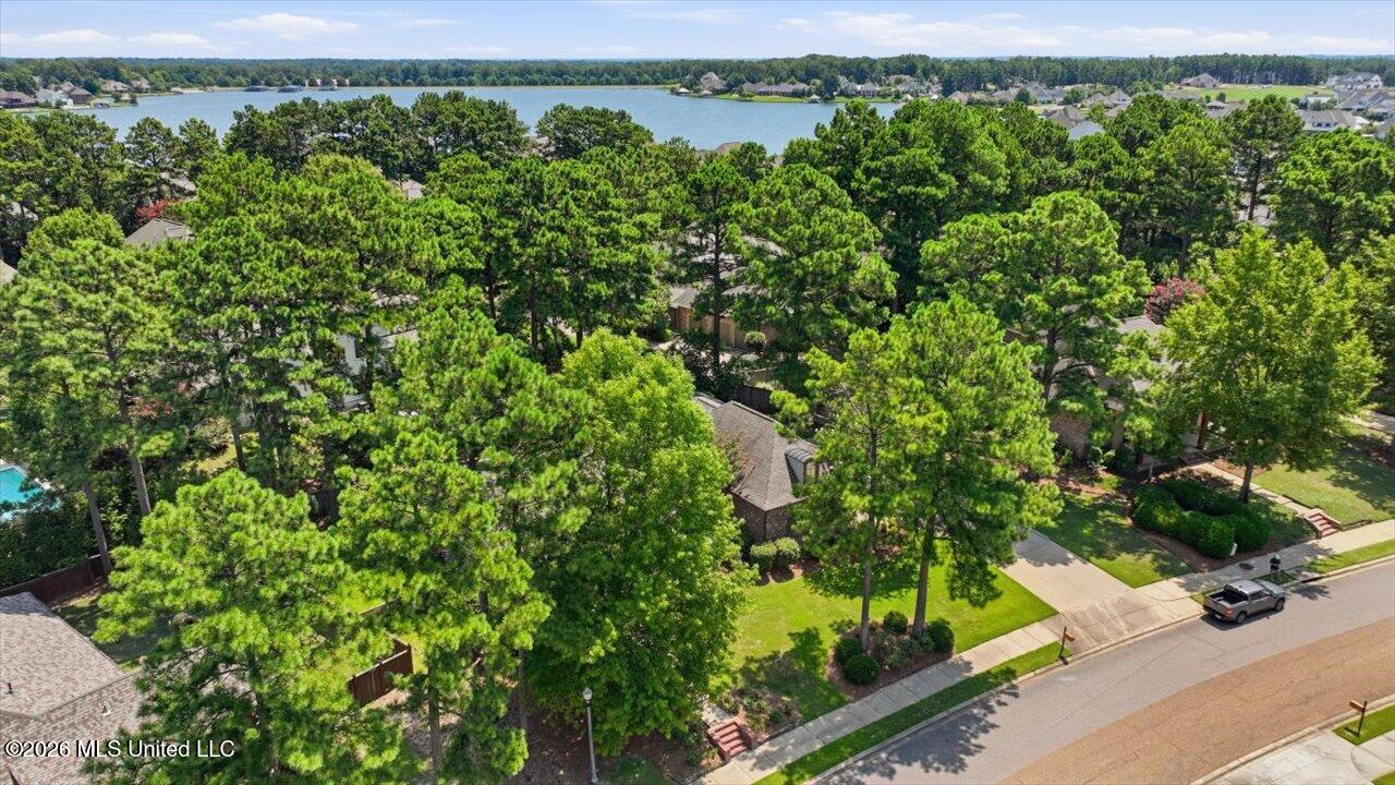 299 Lake Village Drive Property Photo 66