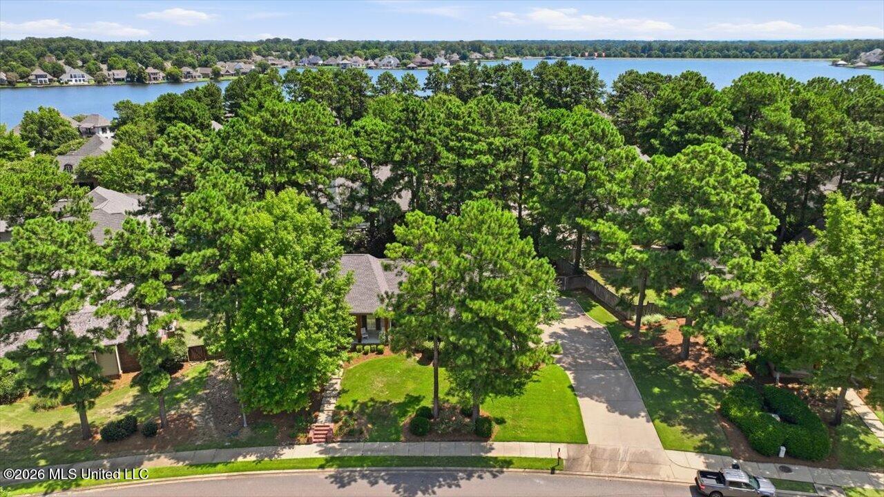 299 Lake Village Drive Property Photo 67