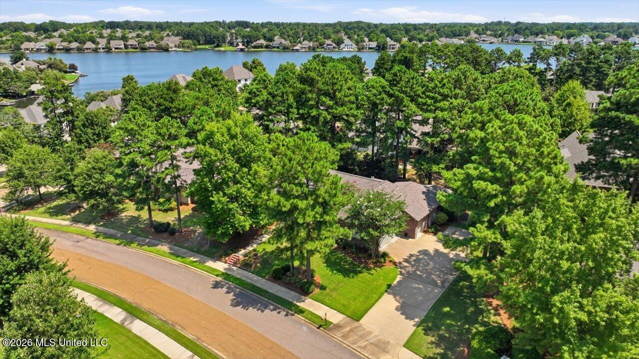 299 Lake Village Drive Property Photo 68