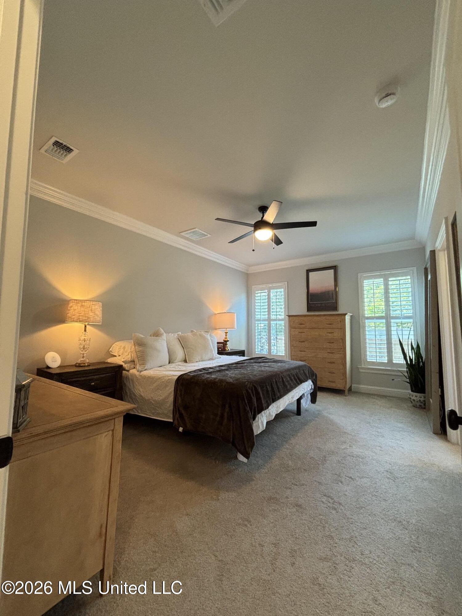 5 Diane Cove Property Photo 5