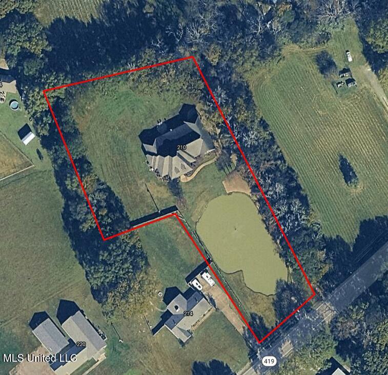 210 White Street Property Photo 2