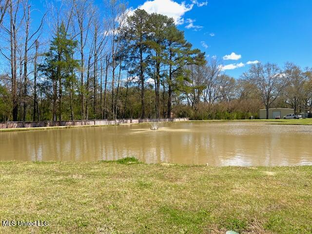 210 White Street Property Photo 15