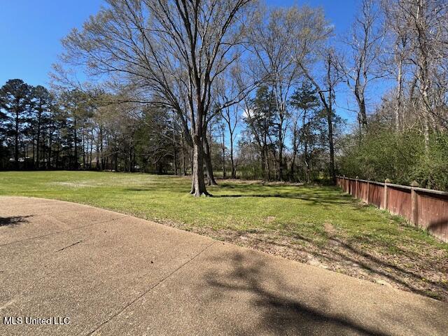 210 White Street Property Photo 67