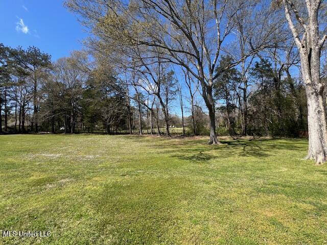 210 White Street Property Photo 68