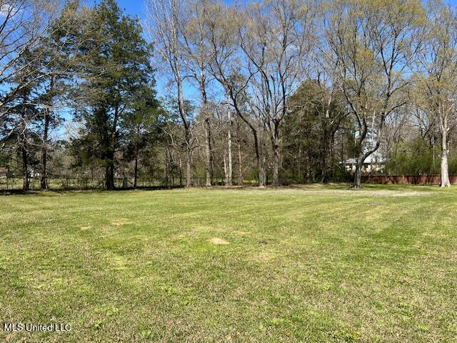 210 White Street Property Photo 70