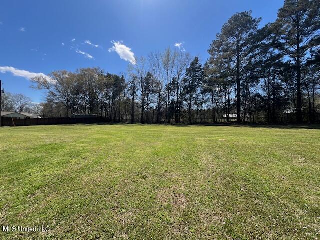 210 White Street Property Photo 75
