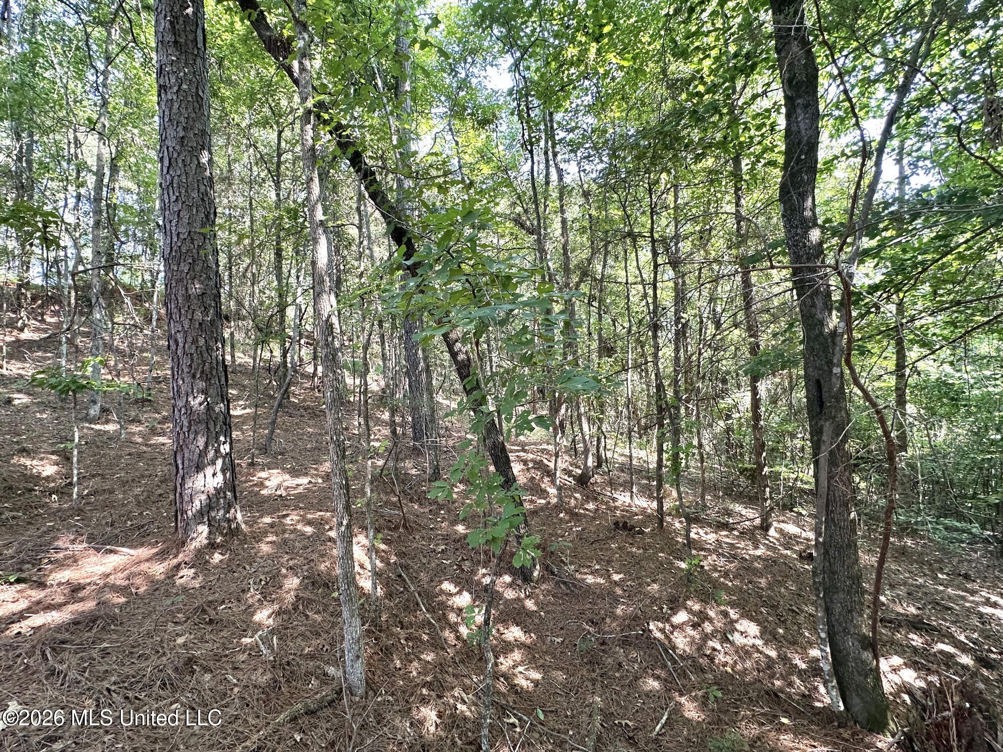 Highway 43 Property Photo 2