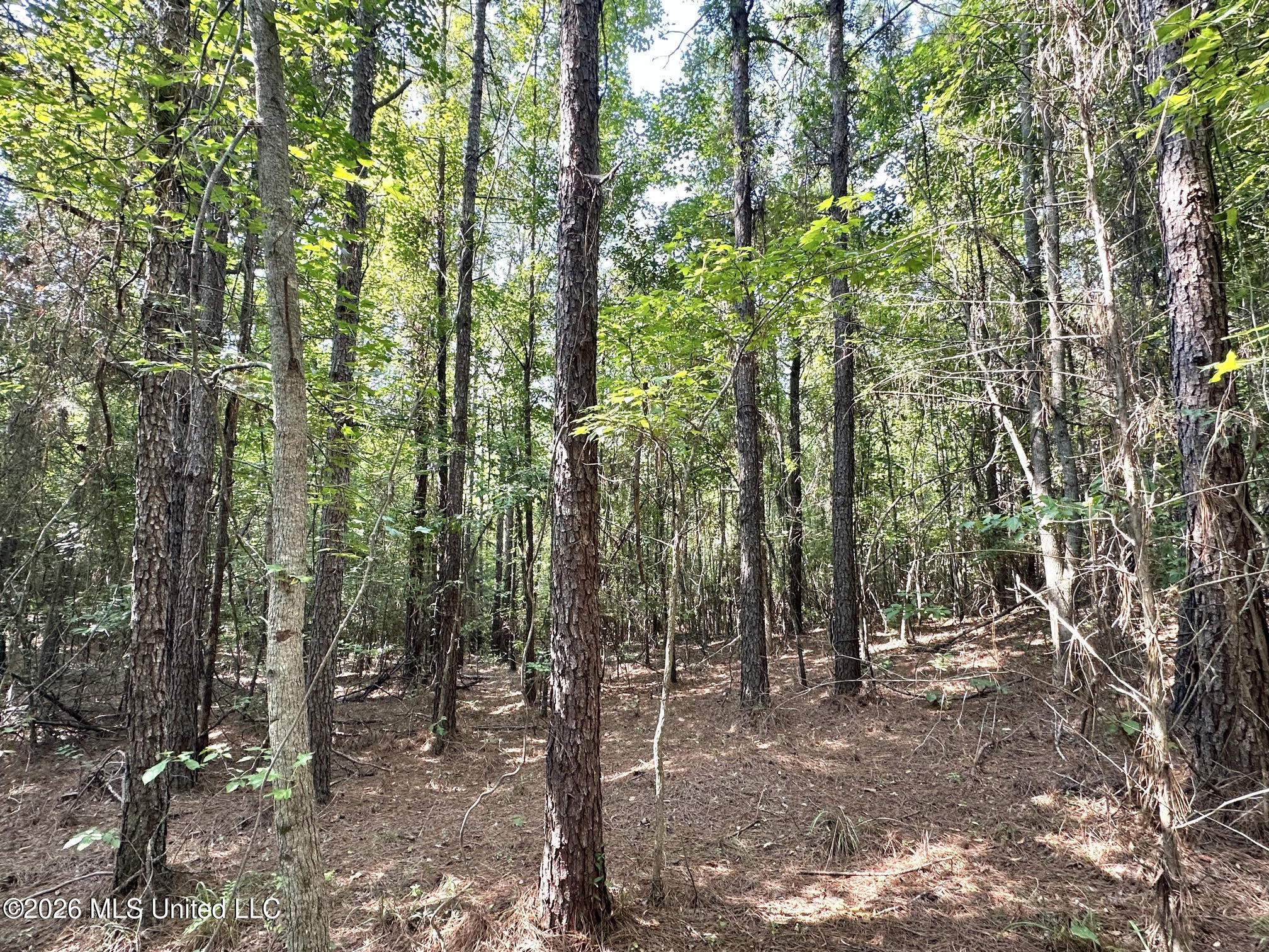 Highway 43 Property Photo 3