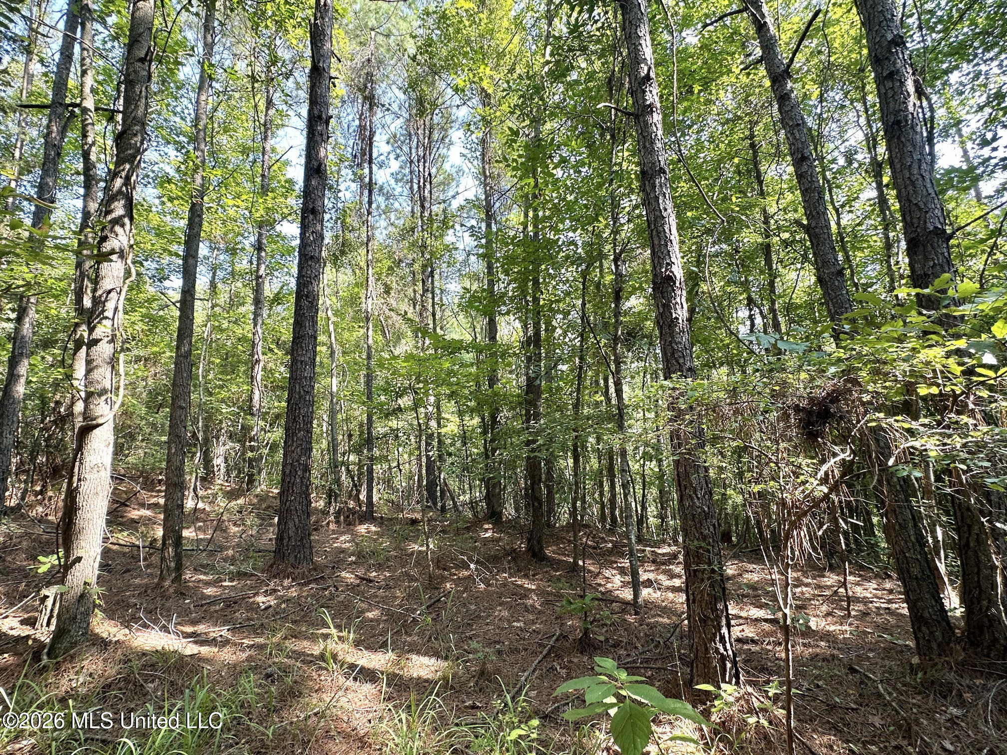 Highway 43 Property Photo 4
