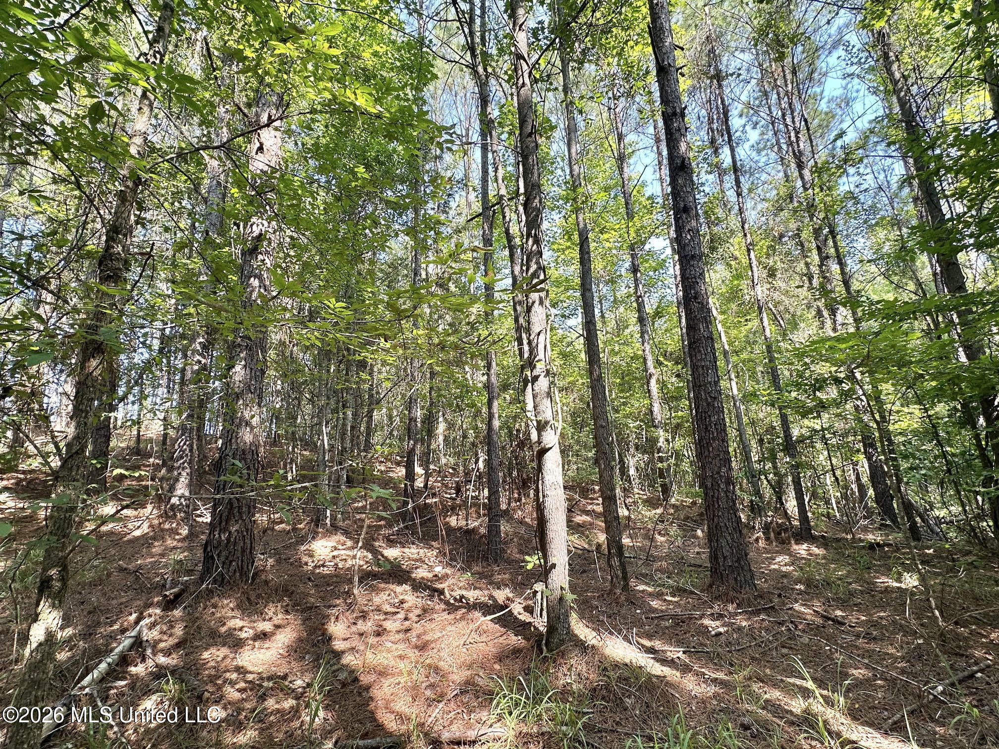 Highway 43 Property Photo 5