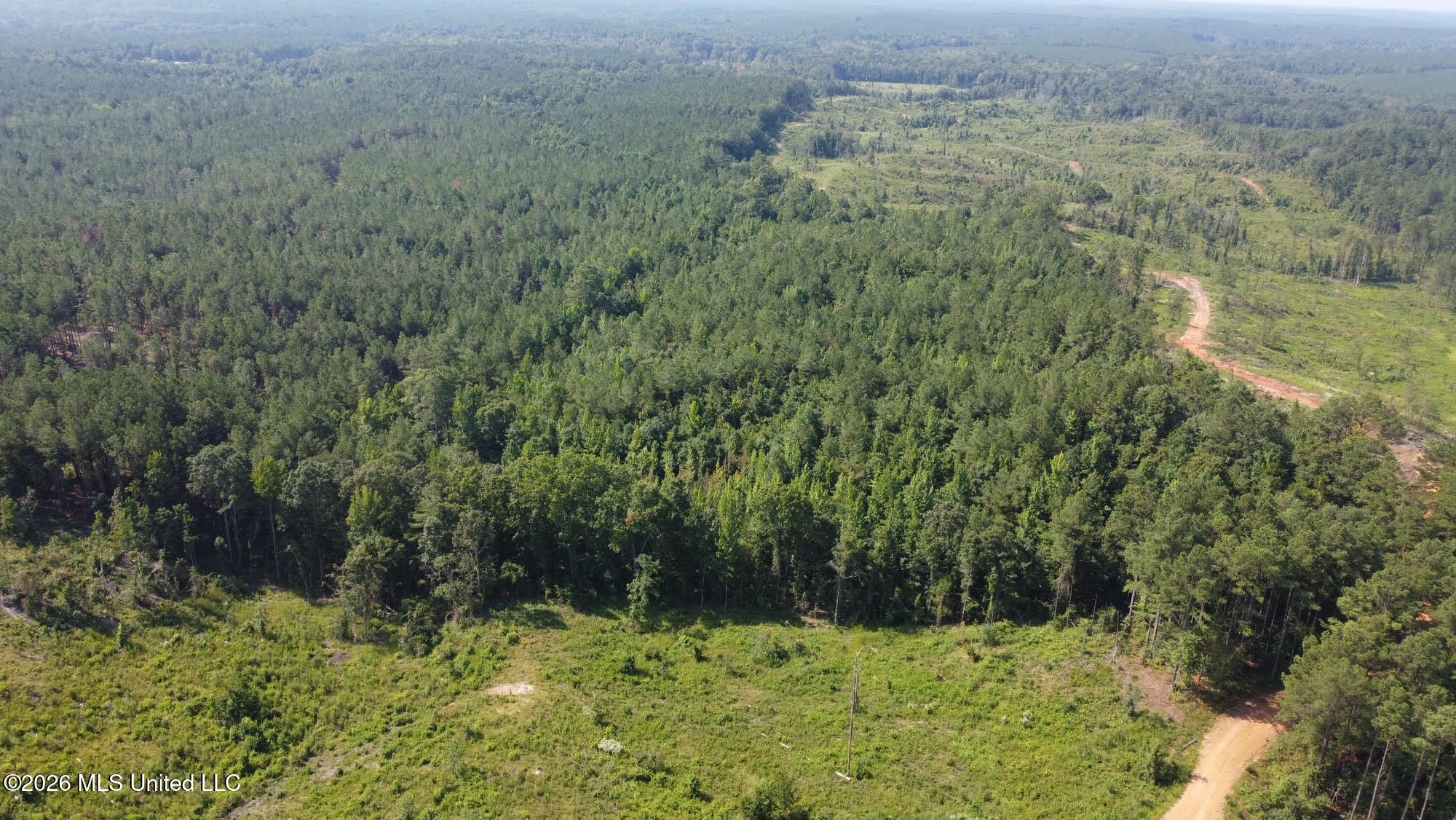 Highway 43 Property Photo 6