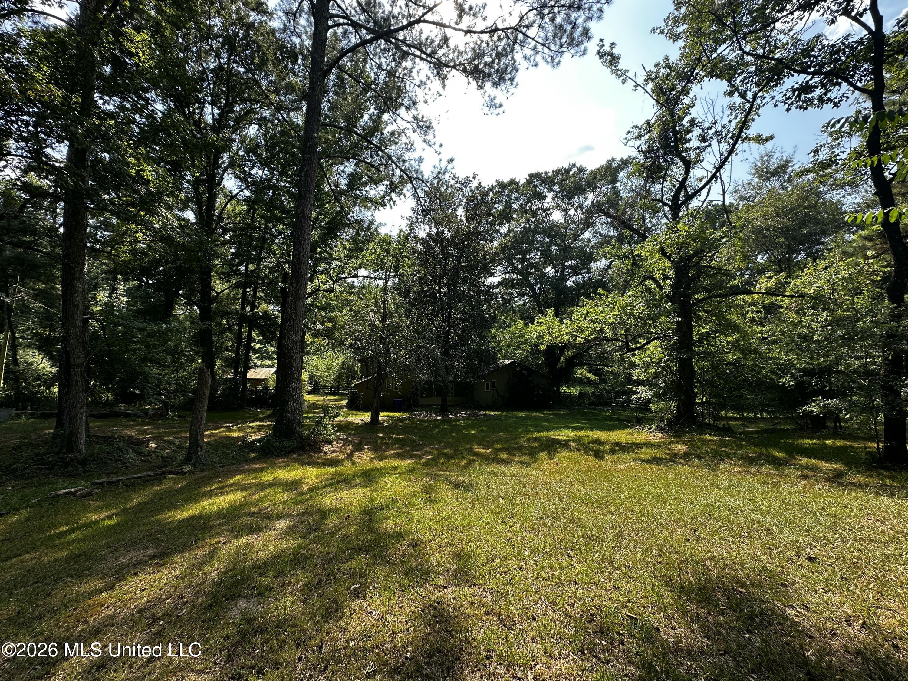 137 Shorter Road Property Photo 2