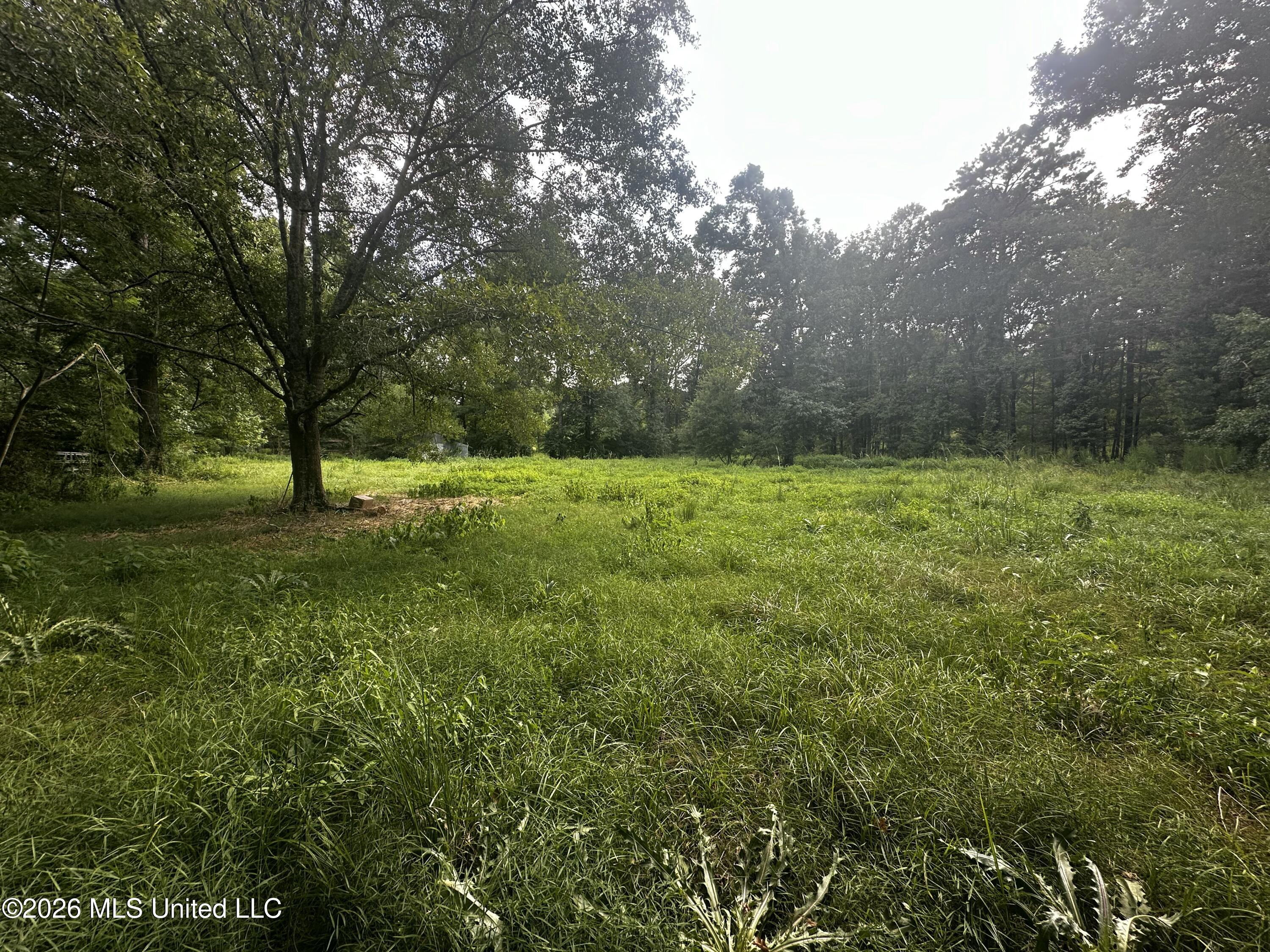 137 Shorter Road Property Photo 23