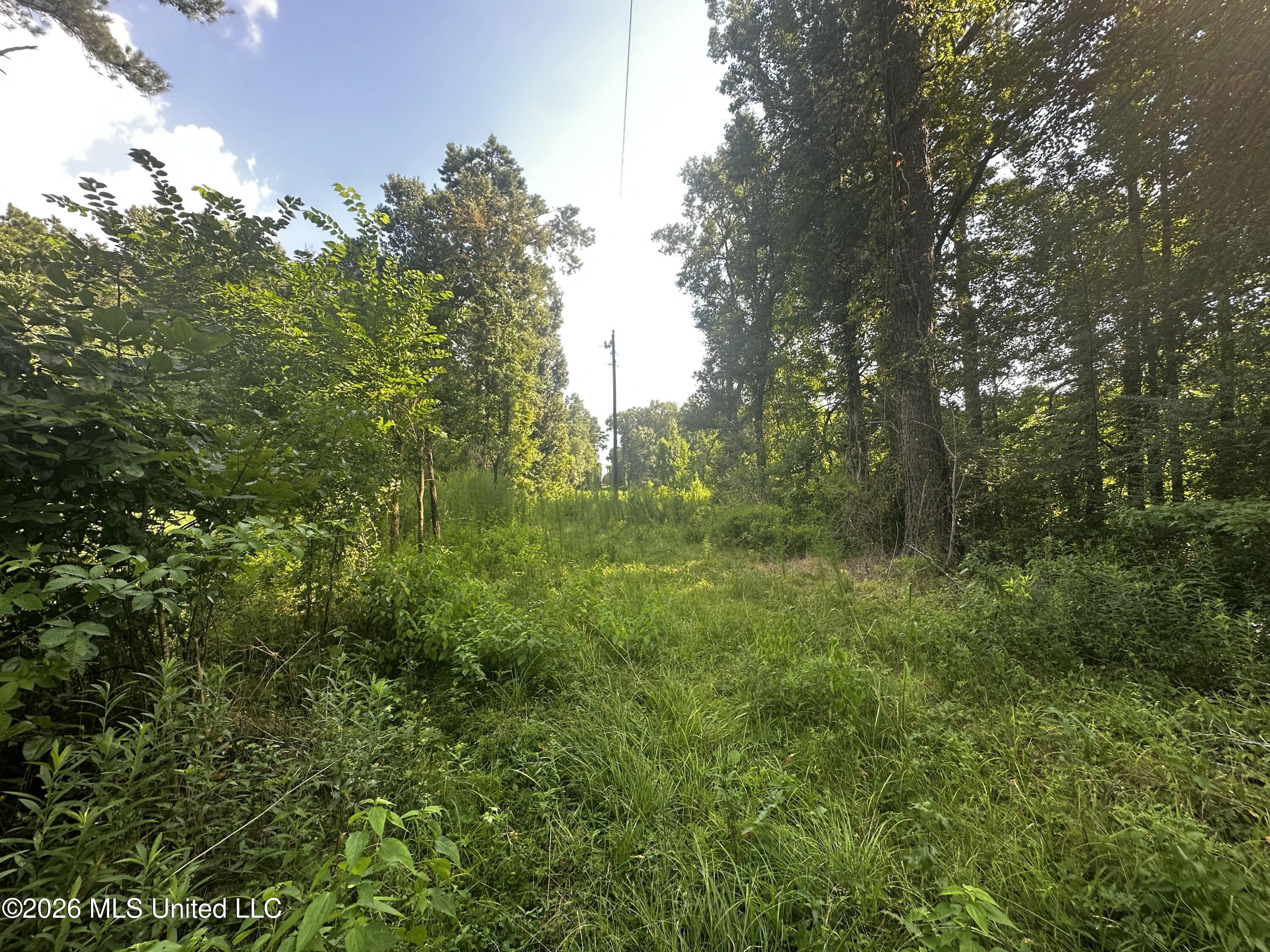 137 Shorter Road Property Photo 24