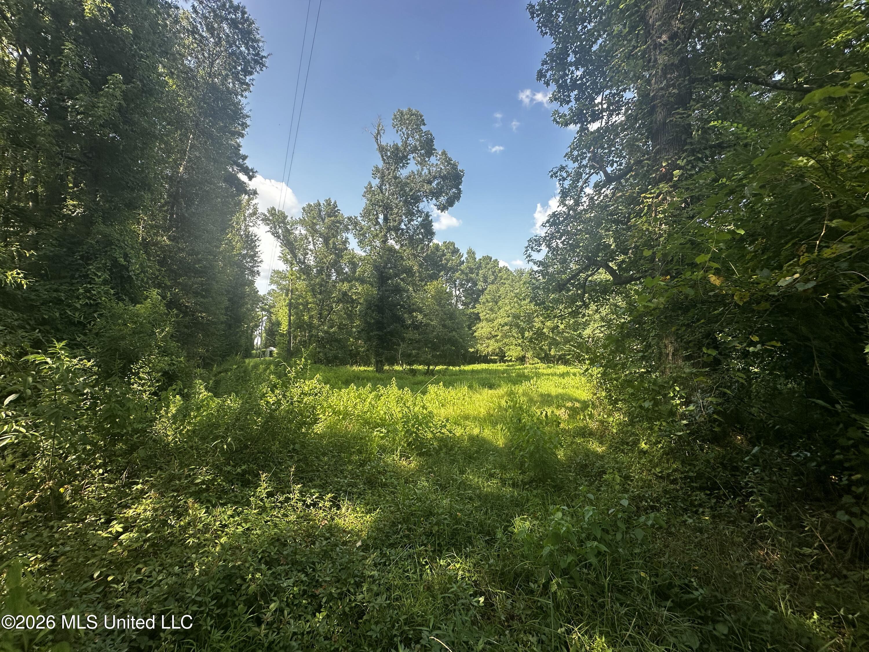 137 Shorter Road Property Photo 25