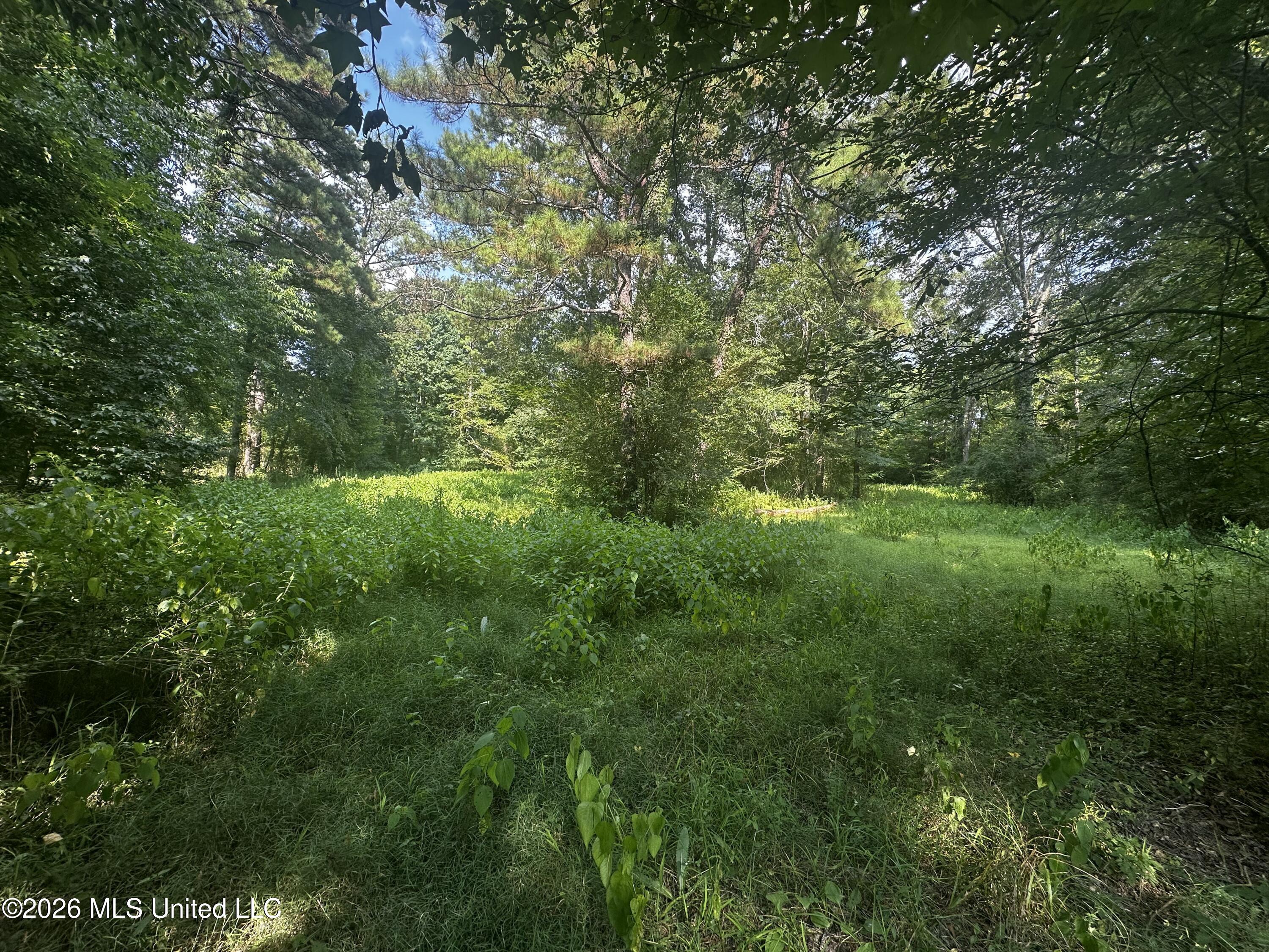 137 Shorter Road Property Photo 26