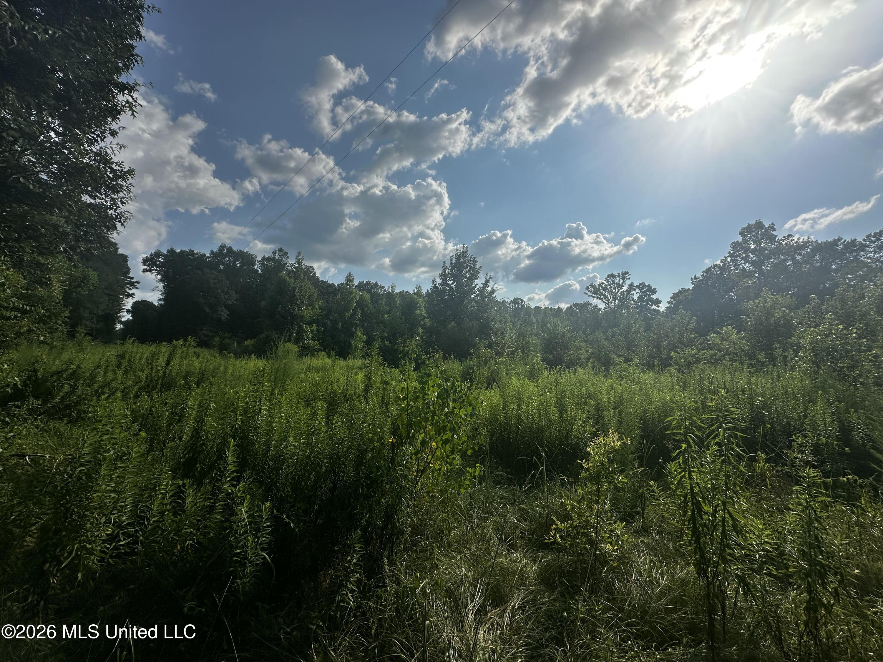 137 Shorter Road Property Photo 27