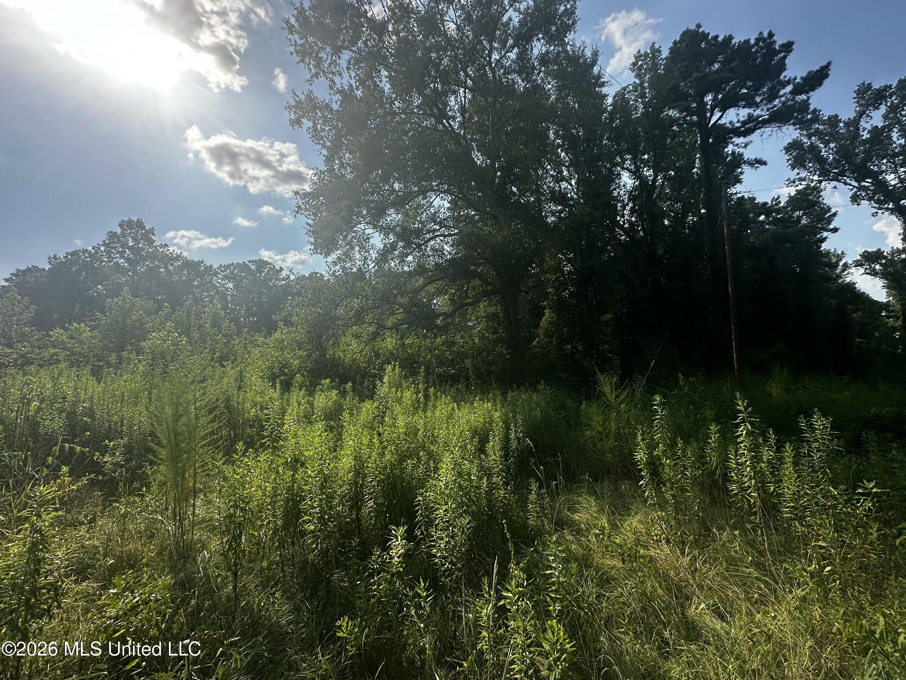 137 Shorter Road Property Photo 28