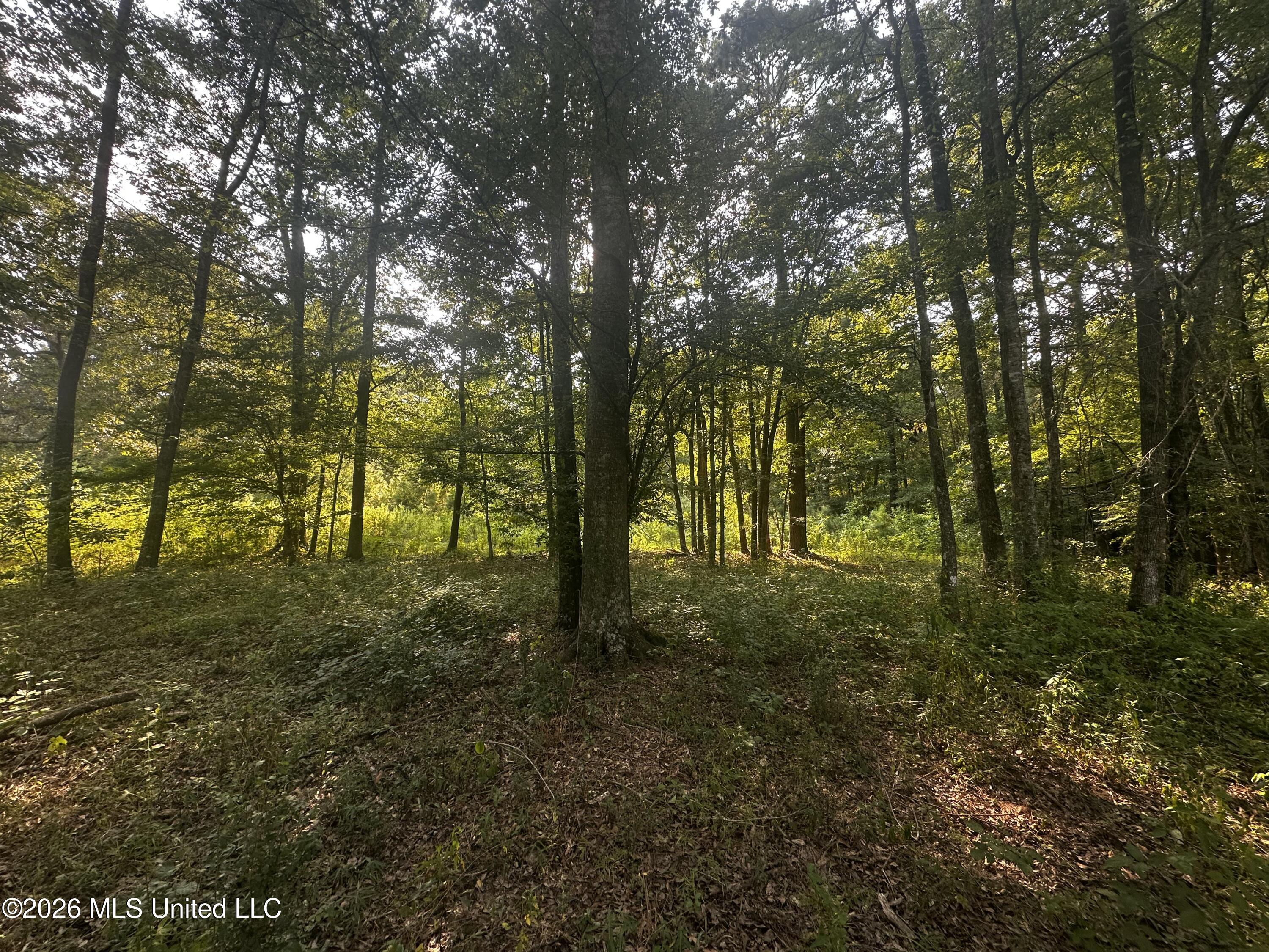 137 Shorter Road Property Photo 29