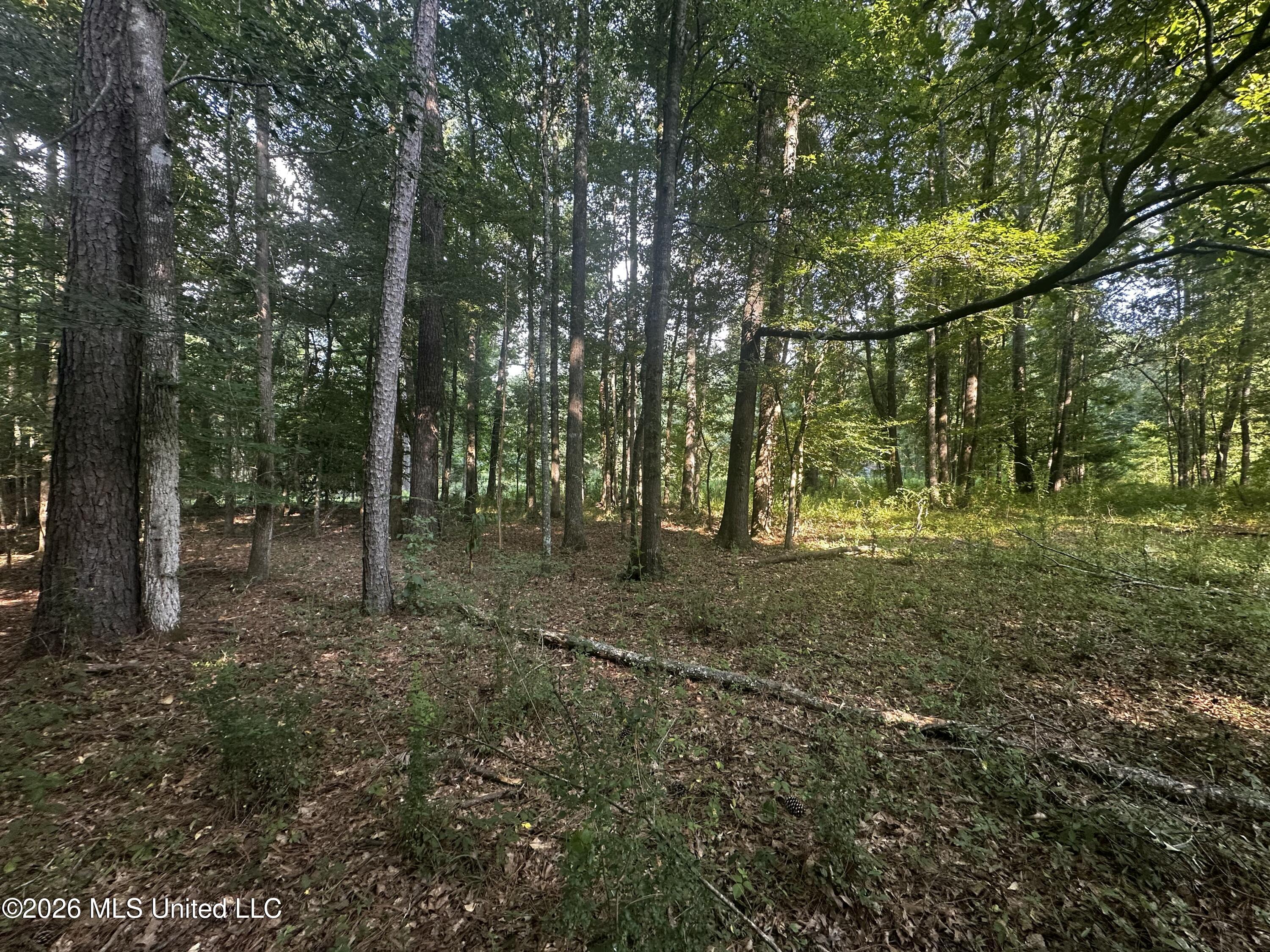 137 Shorter Road Property Photo 30