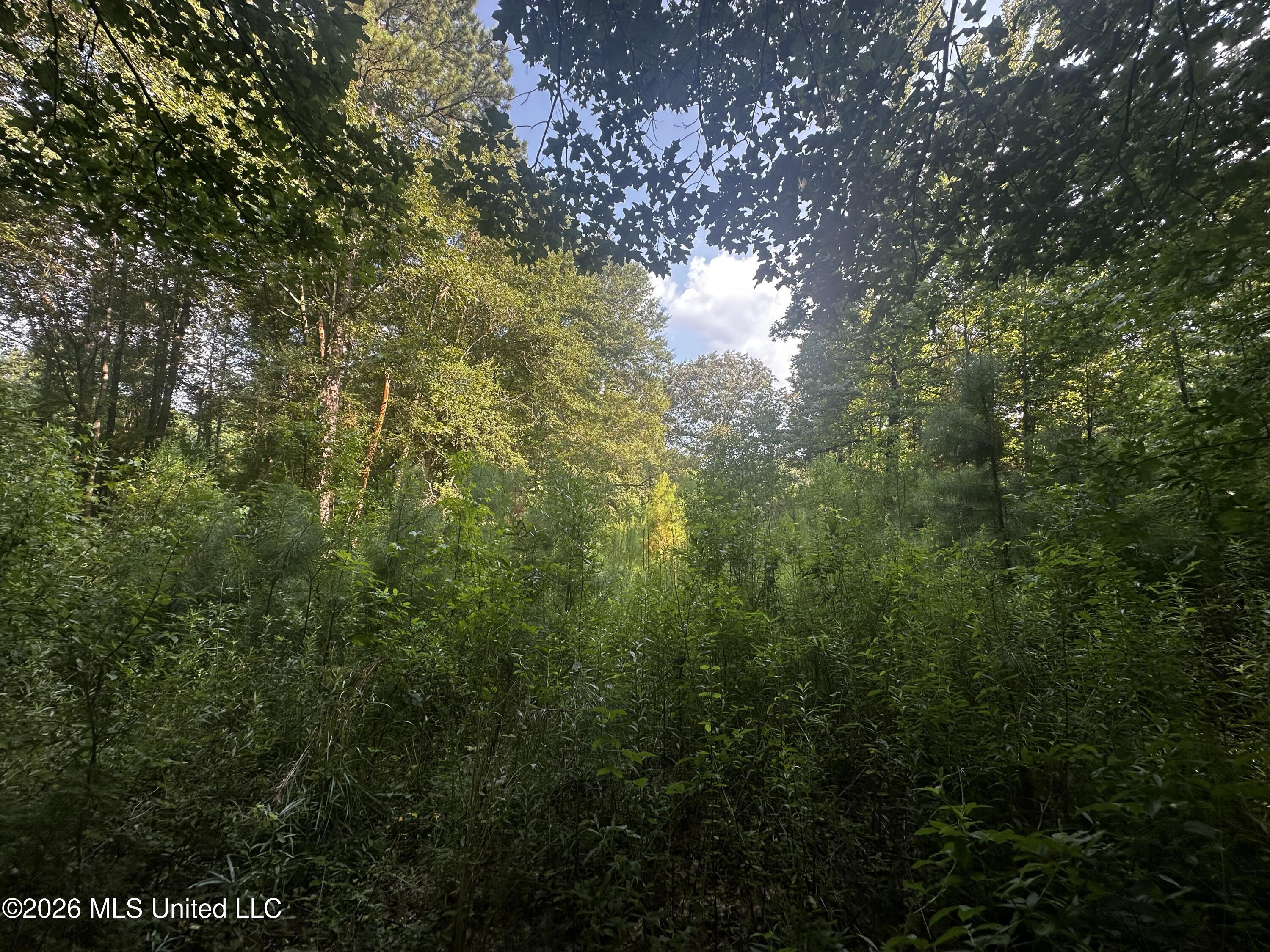 137 Shorter Road Property Photo 31