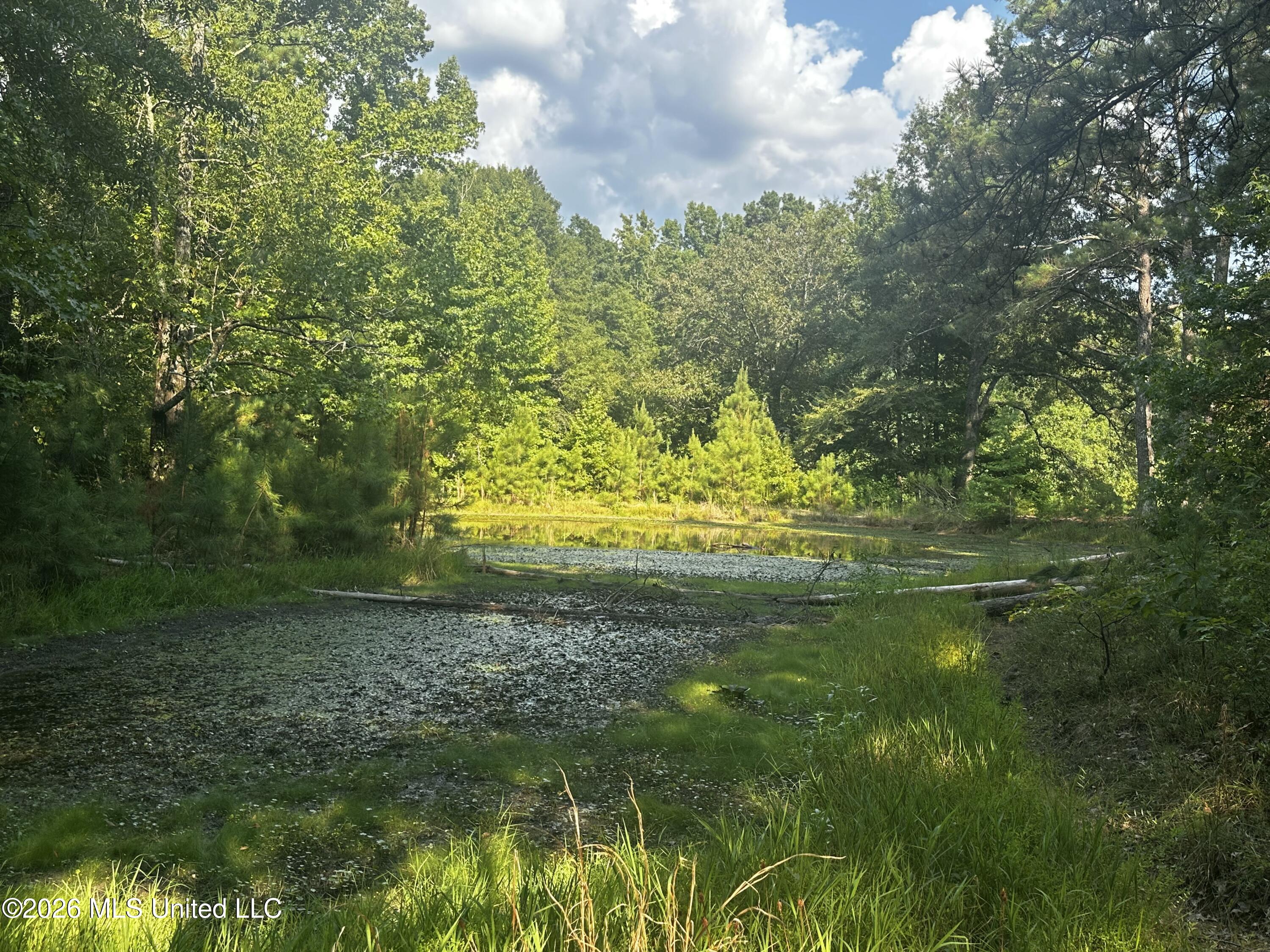 137 Shorter Road Property Photo 33