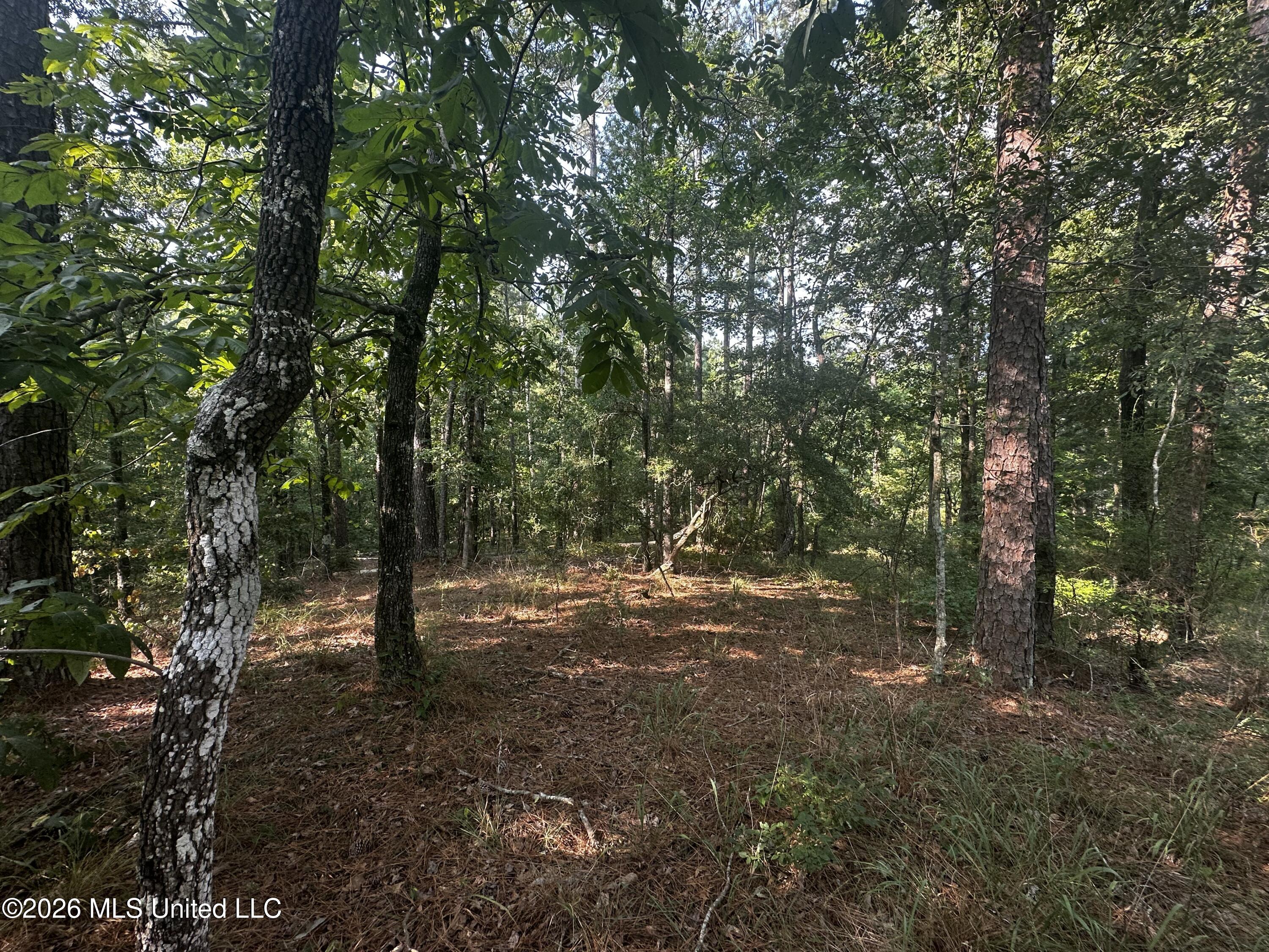 137 Shorter Road Property Photo 34