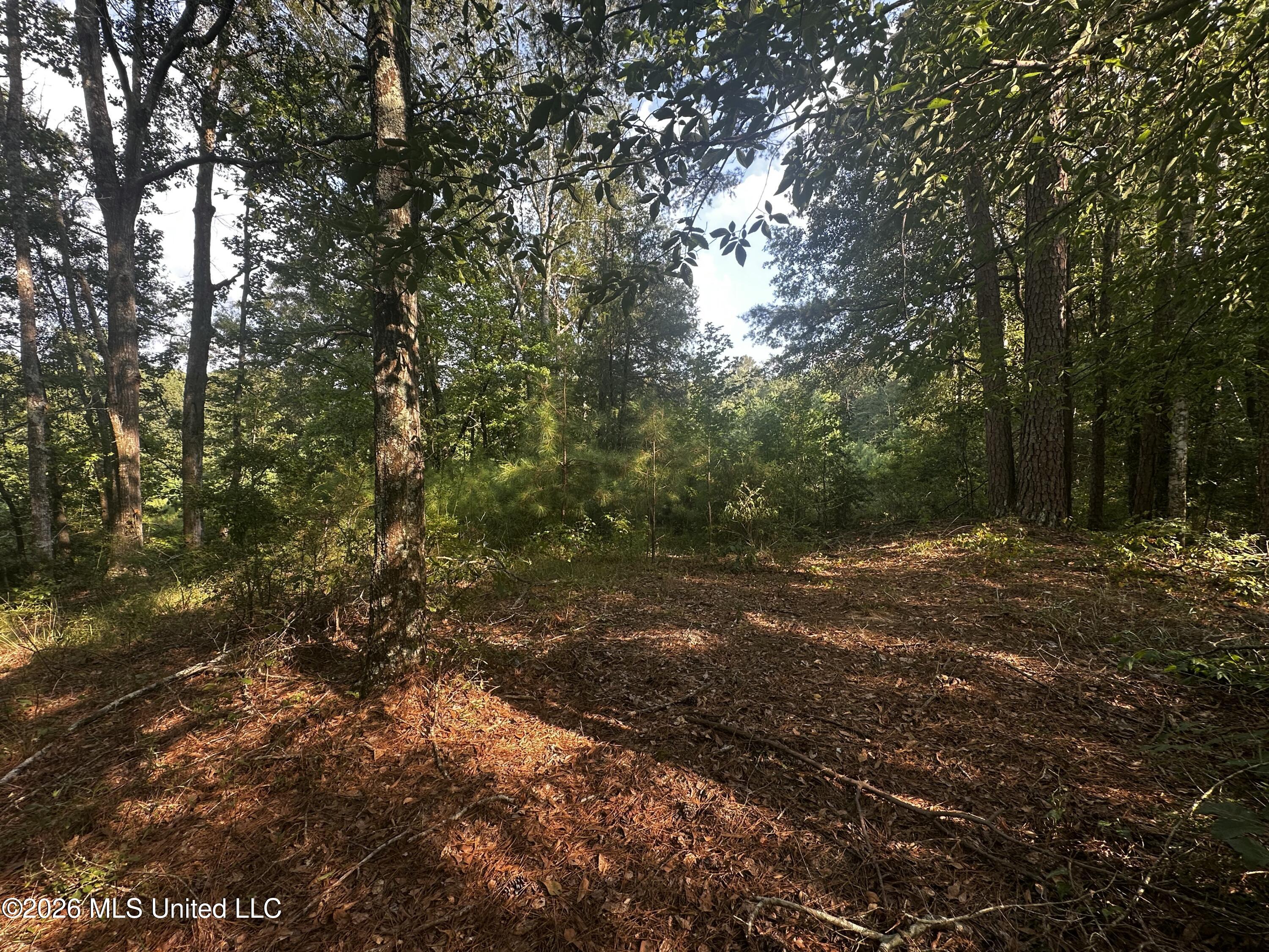 137 Shorter Road Property Photo 35