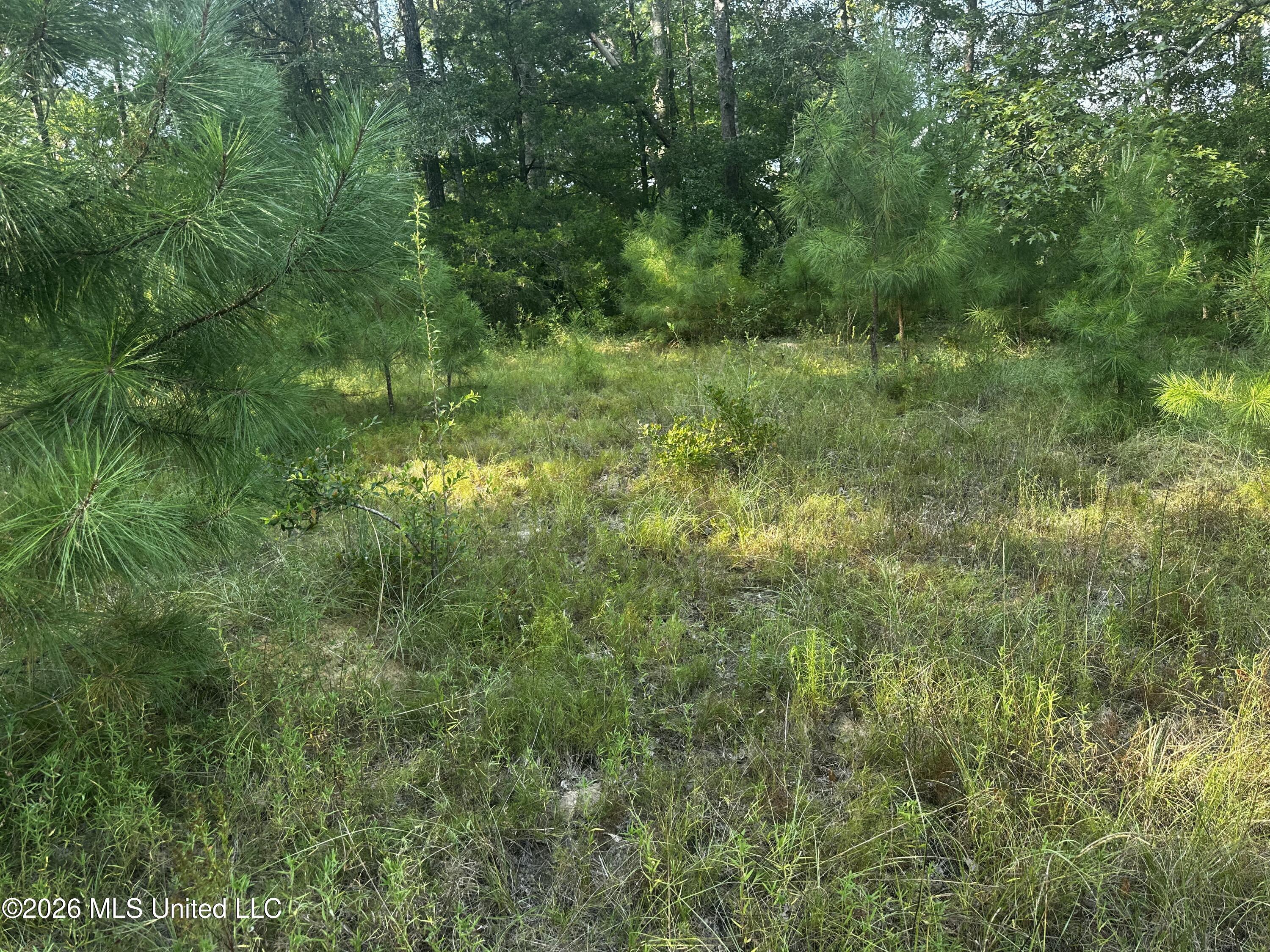 137 Shorter Road Property Photo 36