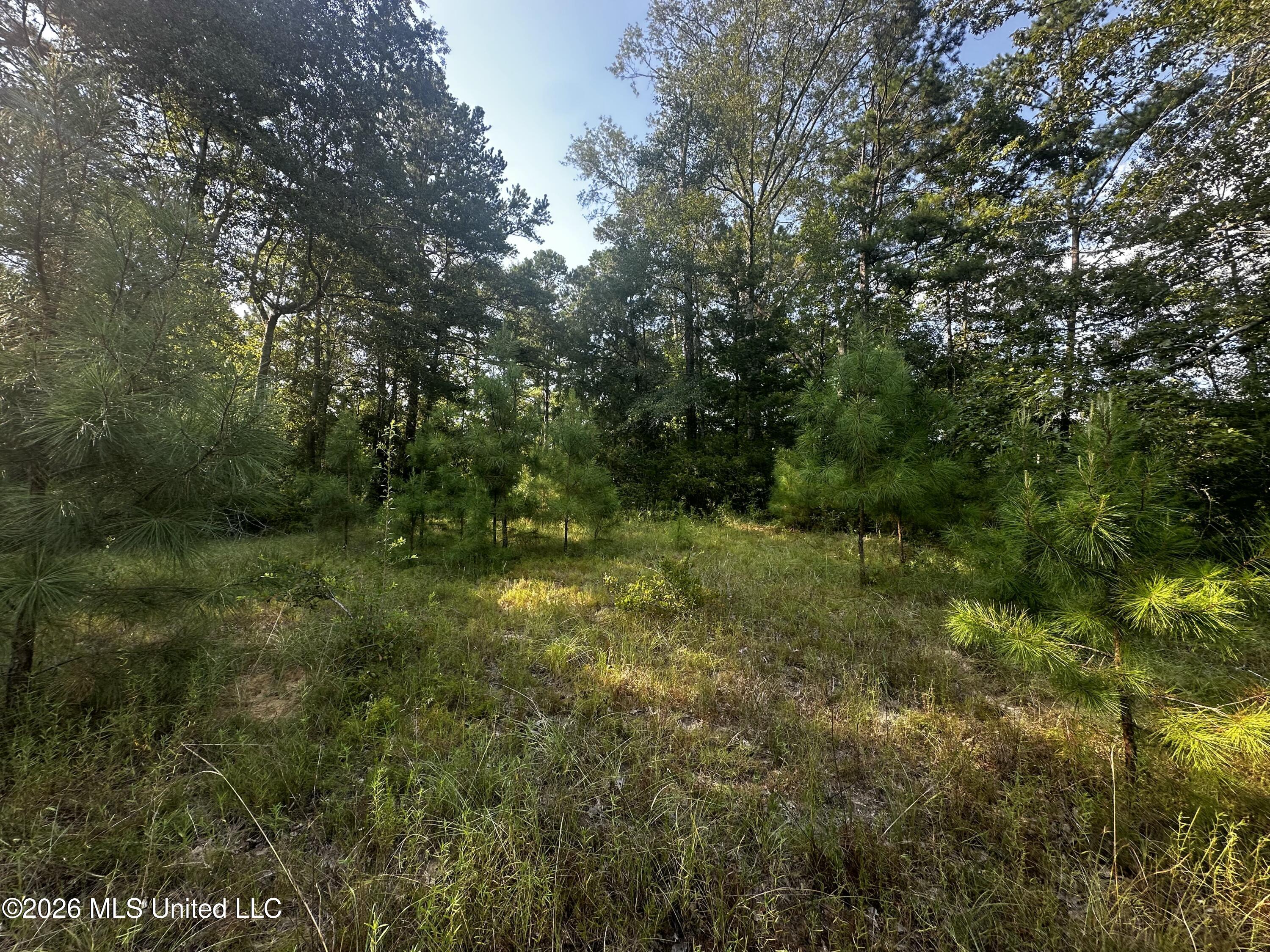 137 Shorter Road Property Photo 37