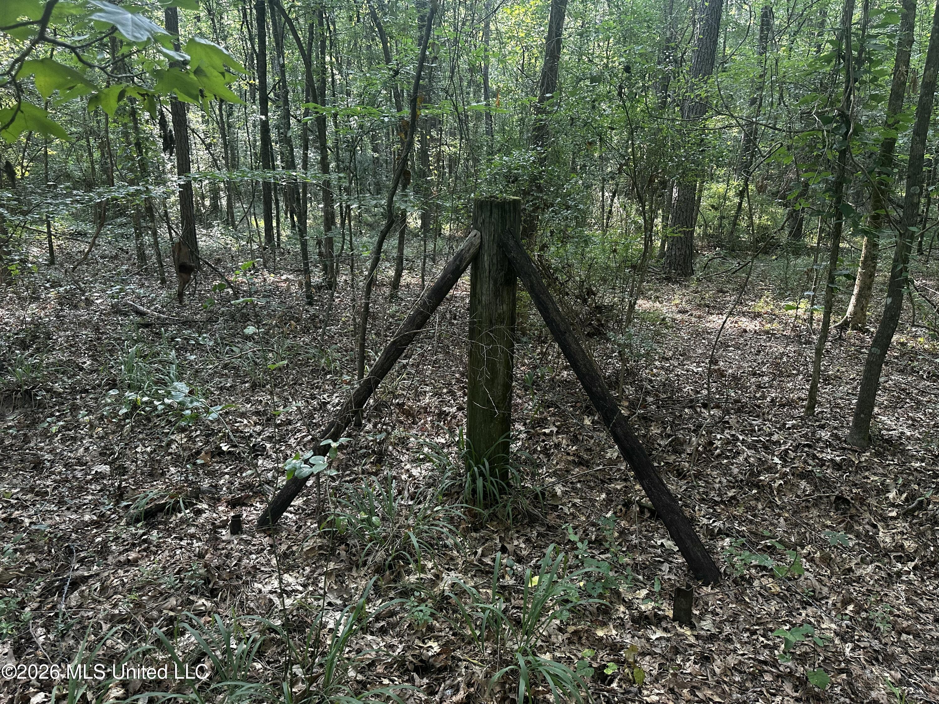 137 Shorter Road Property Photo 38