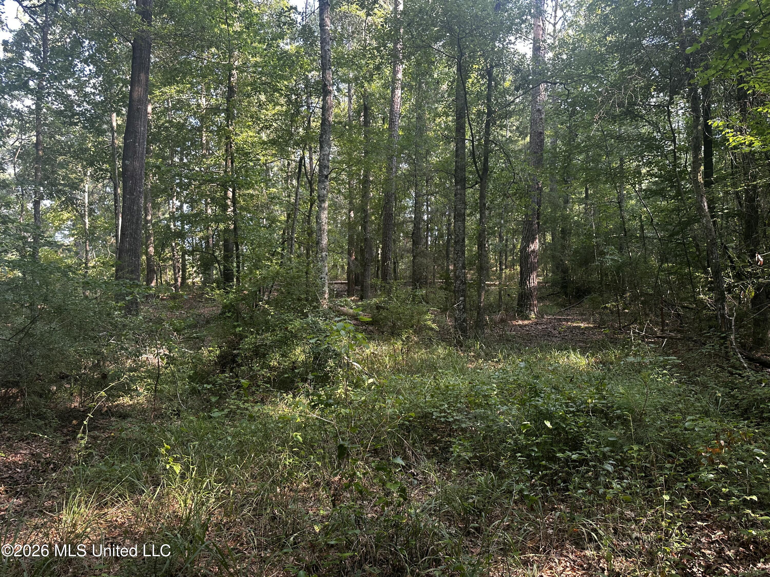 137 Shorter Road Property Photo 39