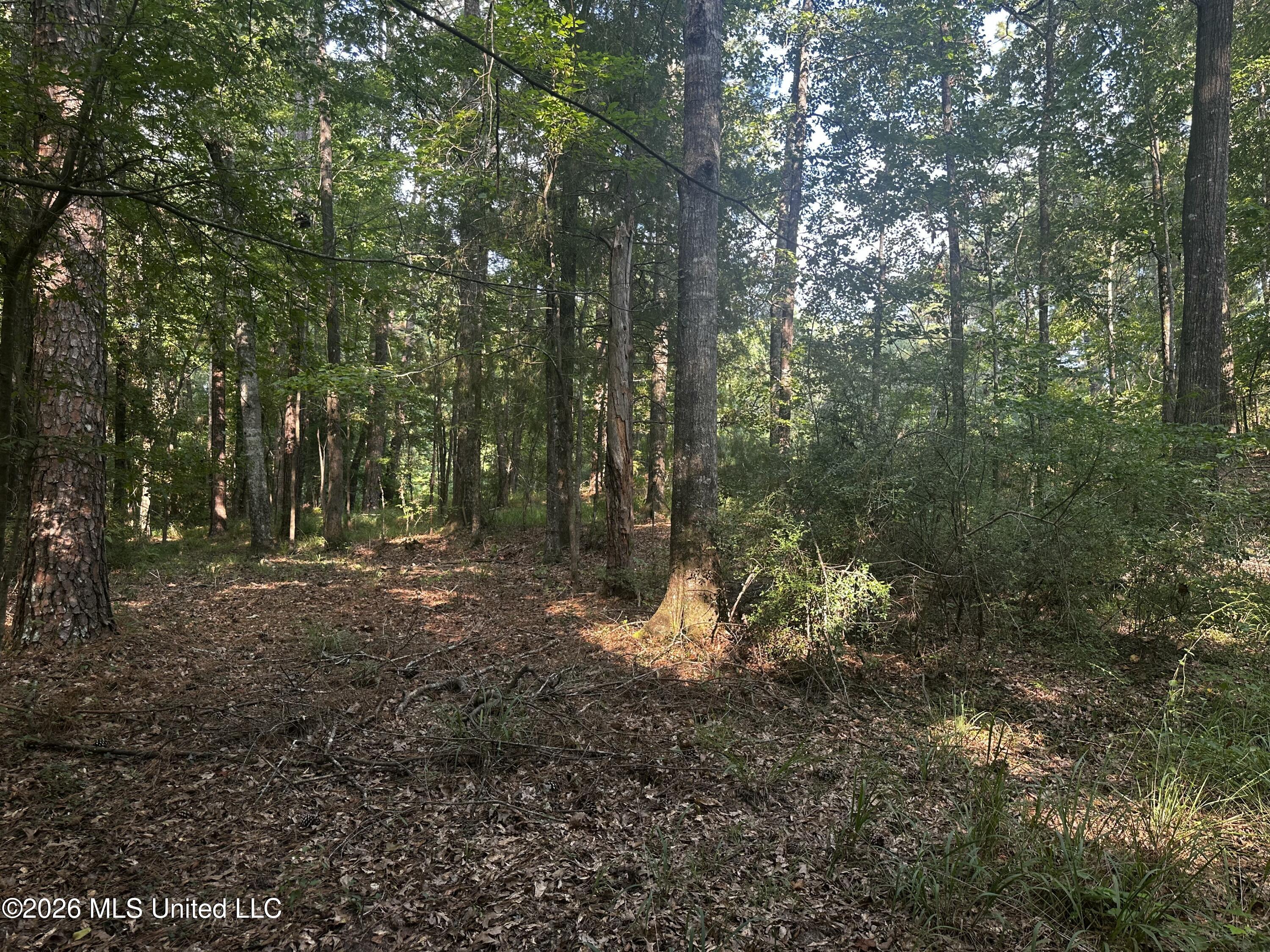 137 Shorter Road Property Photo 40