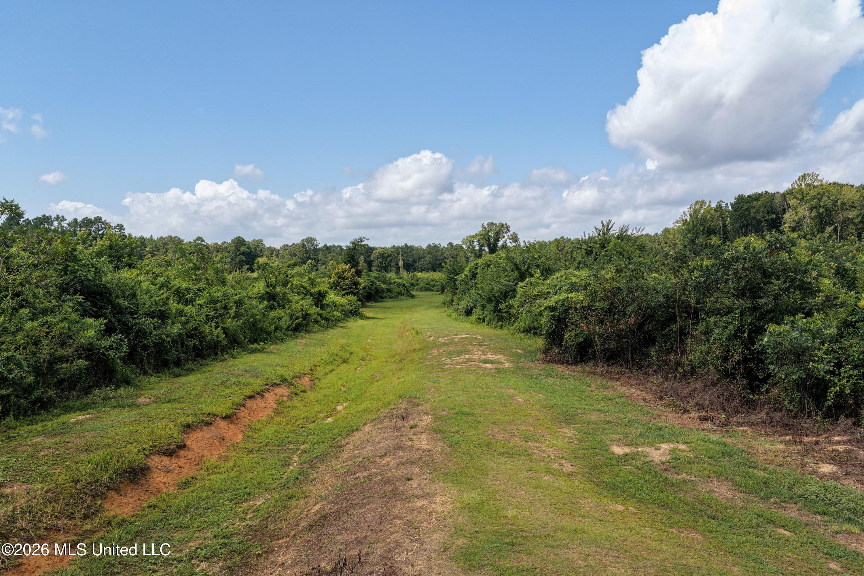 226 Van Holmes Road Property Photo 3
