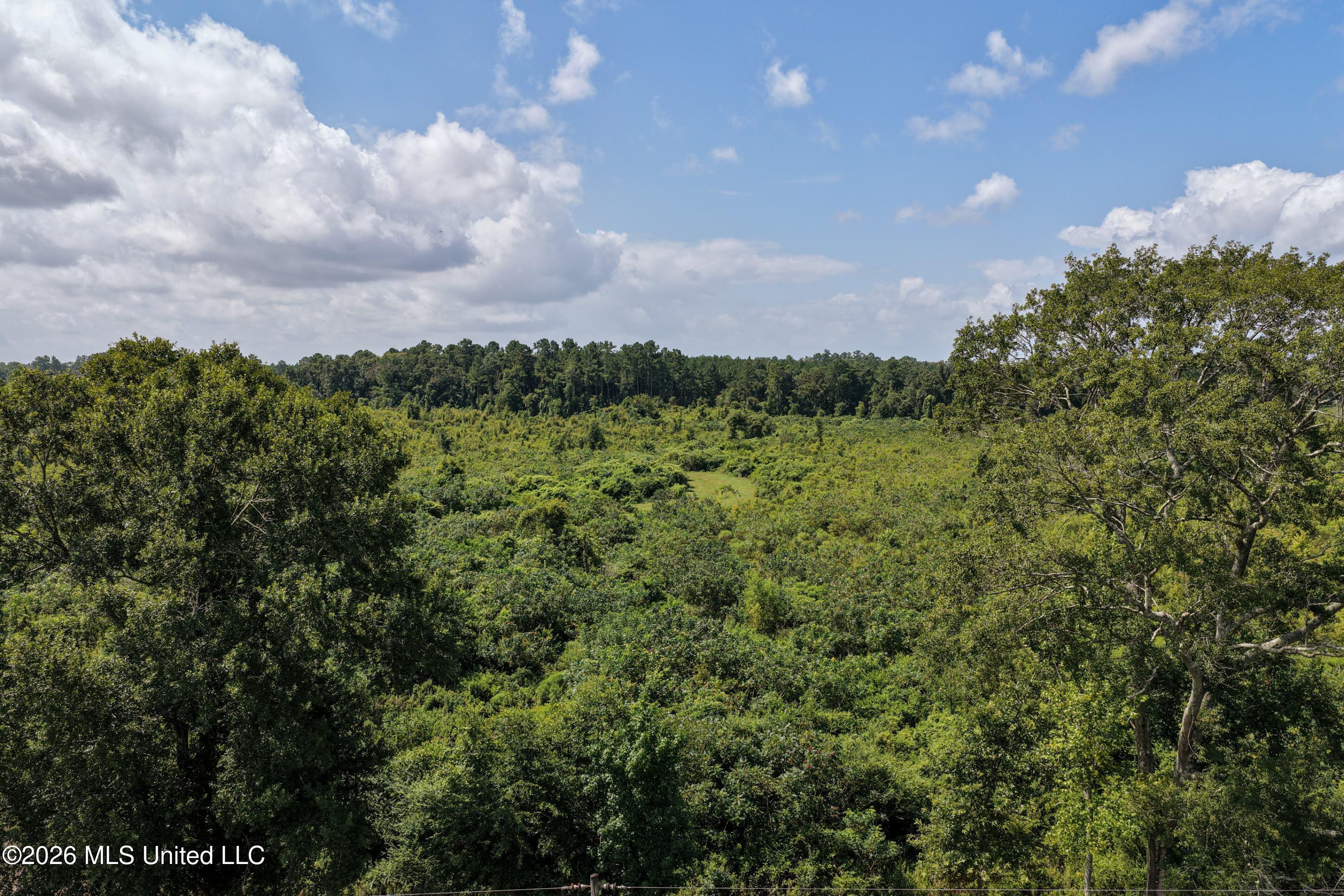 226 Van Holmes Road Property Photo 12